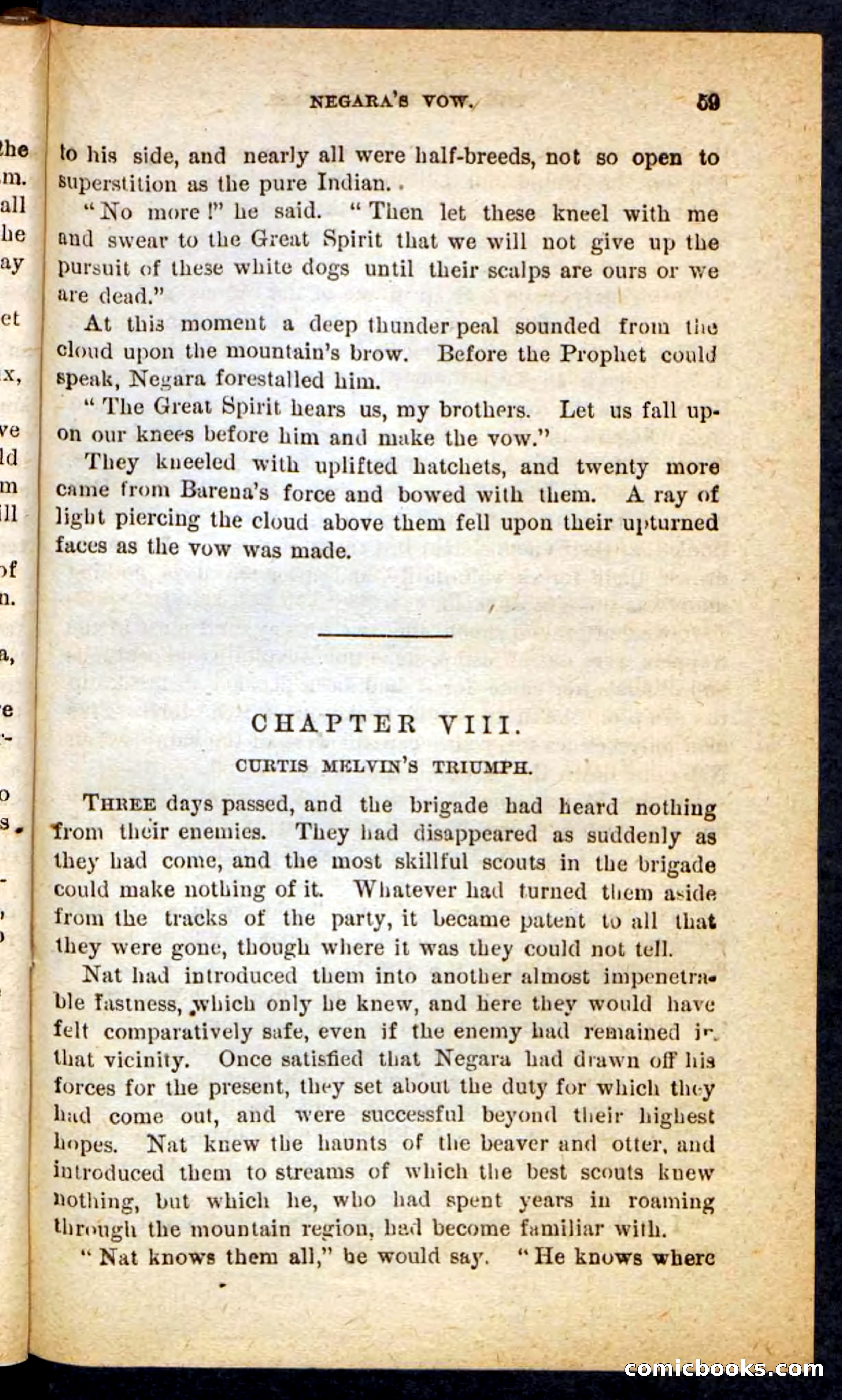 Beadle's Pocket Novels No. 165: Wild Nat, the Gulch Terror — page 55 of 100