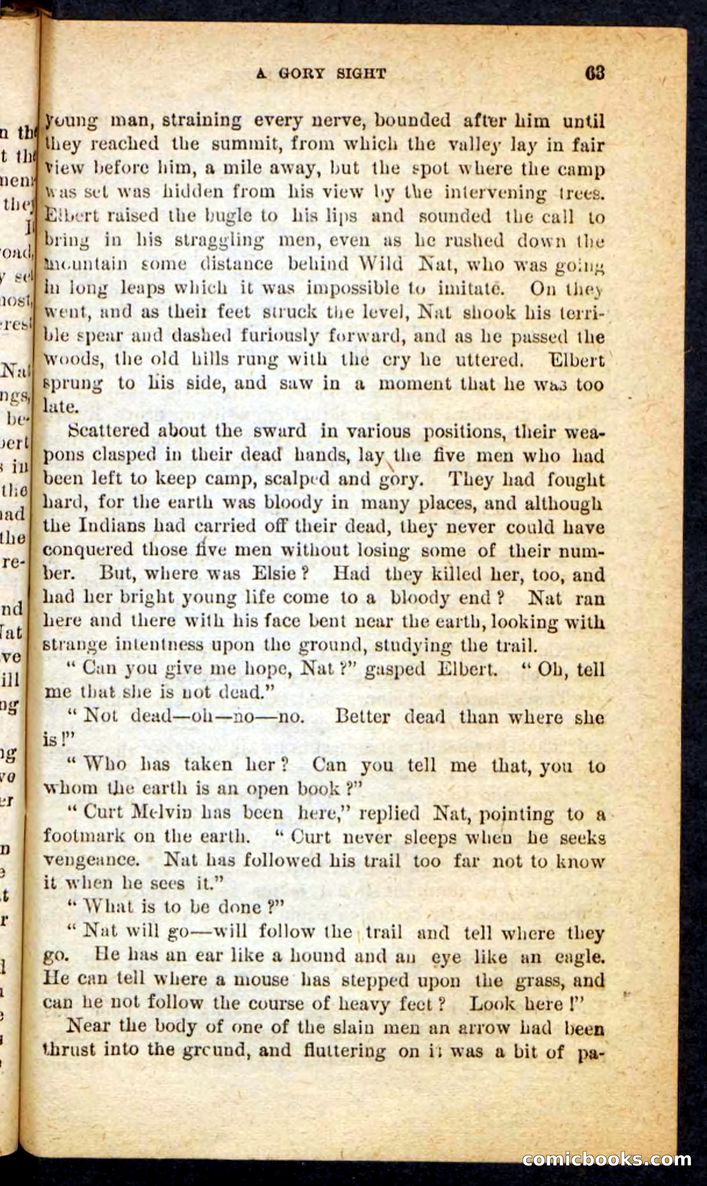 Beadle's Pocket Novels No. 165: Wild Nat, the Gulch Terror — page 59 of 100