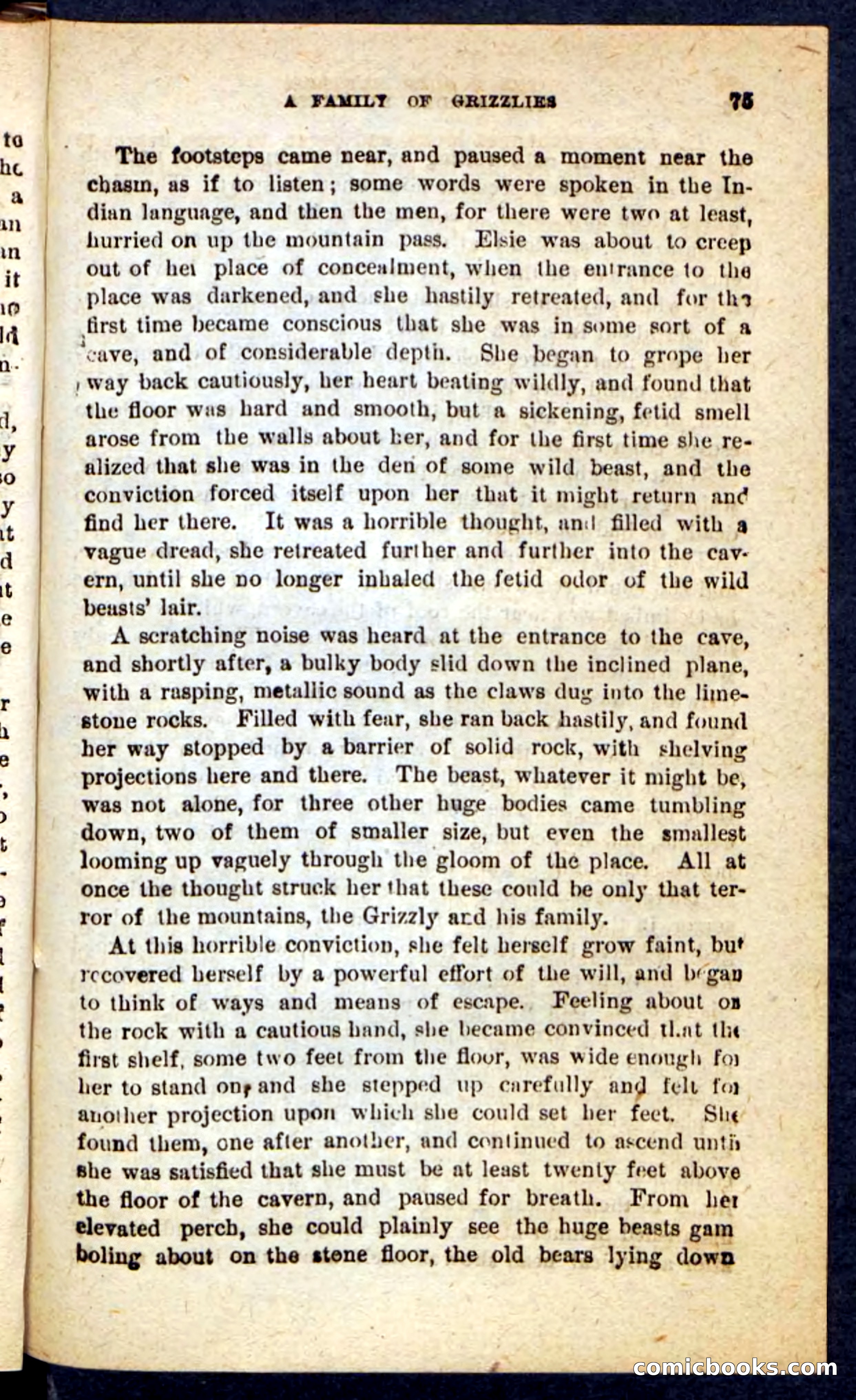 Beadle's Pocket Novels No. 165: Wild Nat, the Gulch Terror — page 71 of 100