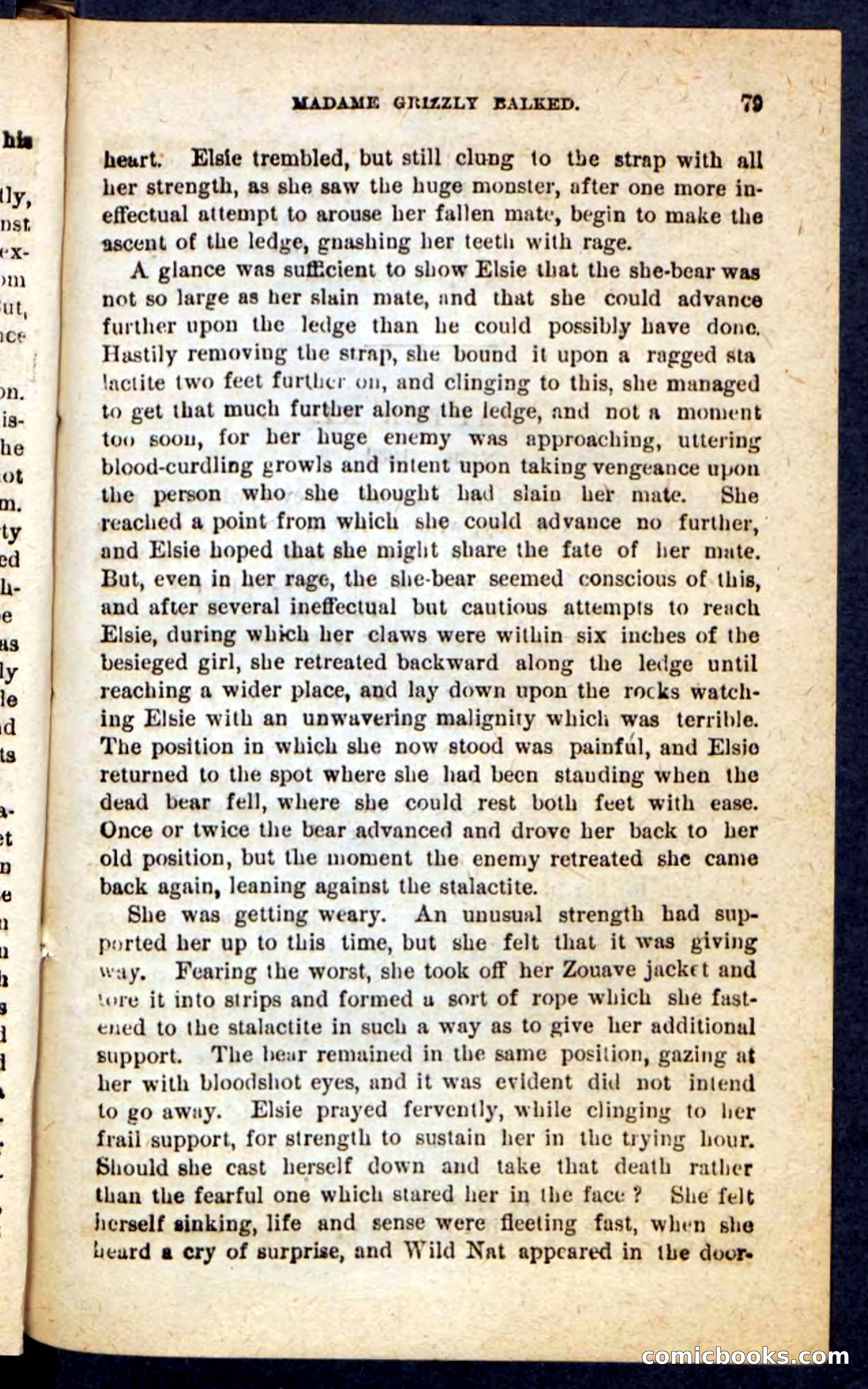 Beadle's Pocket Novels No. 165: Wild Nat, the Gulch Terror — page 75 of 100