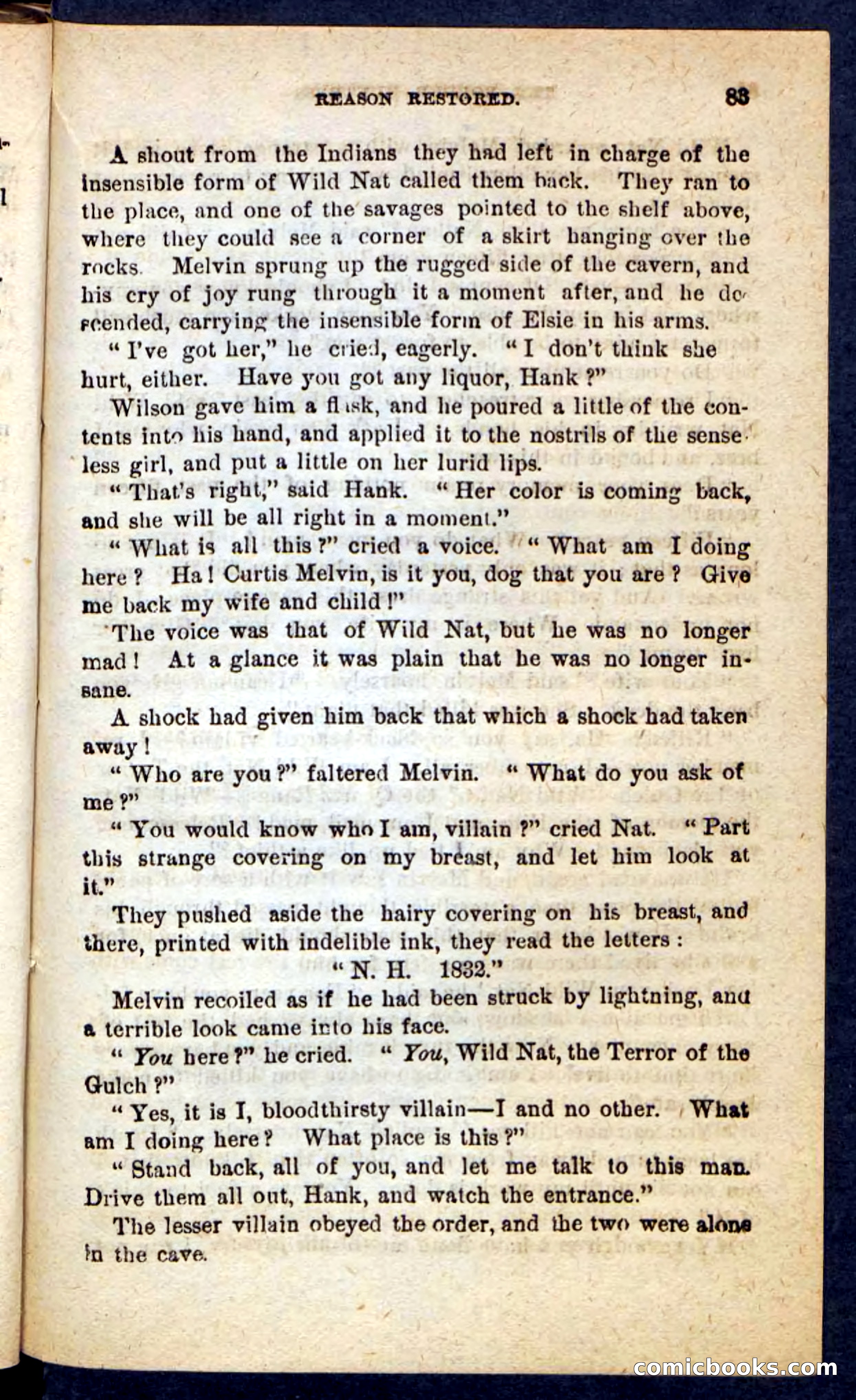 Beadle's Pocket Novels No. 165: Wild Nat, the Gulch Terror — page 79 of 100