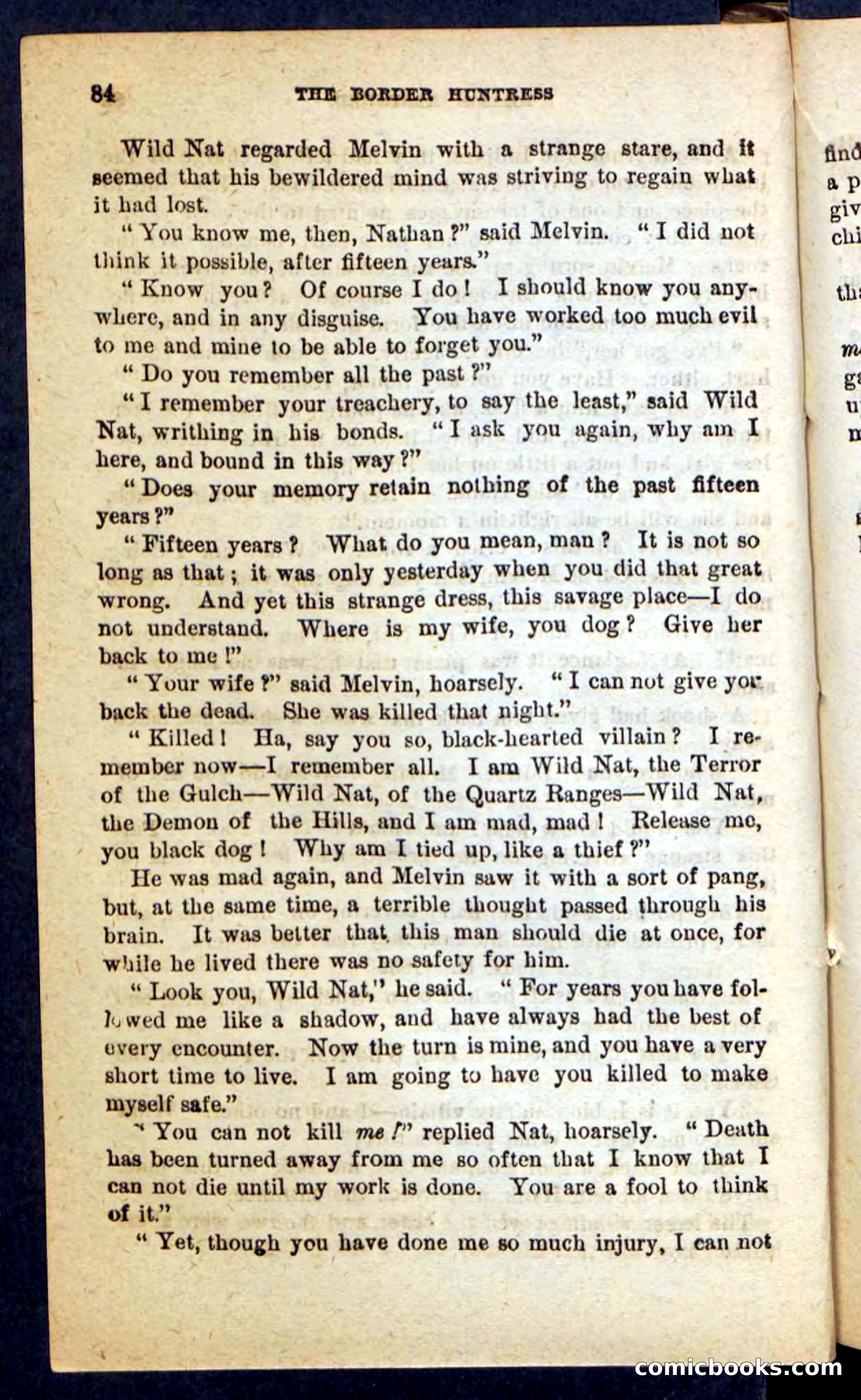 Beadle's Pocket Novels No. 165: Wild Nat, the Gulch Terror — page 80 of 100