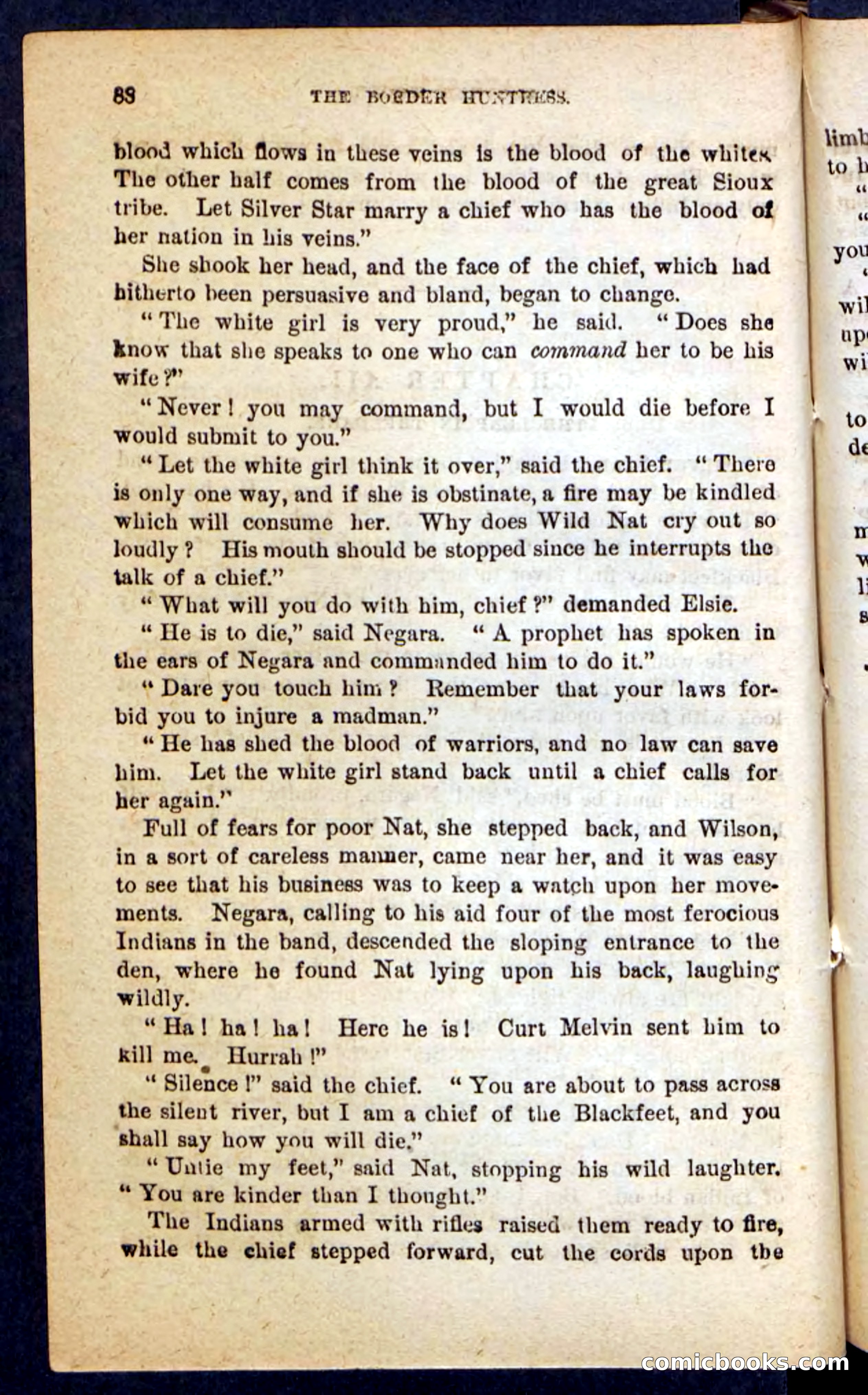 Beadle's Pocket Novels No. 165: Wild Nat, the Gulch Terror — page 84 of 100