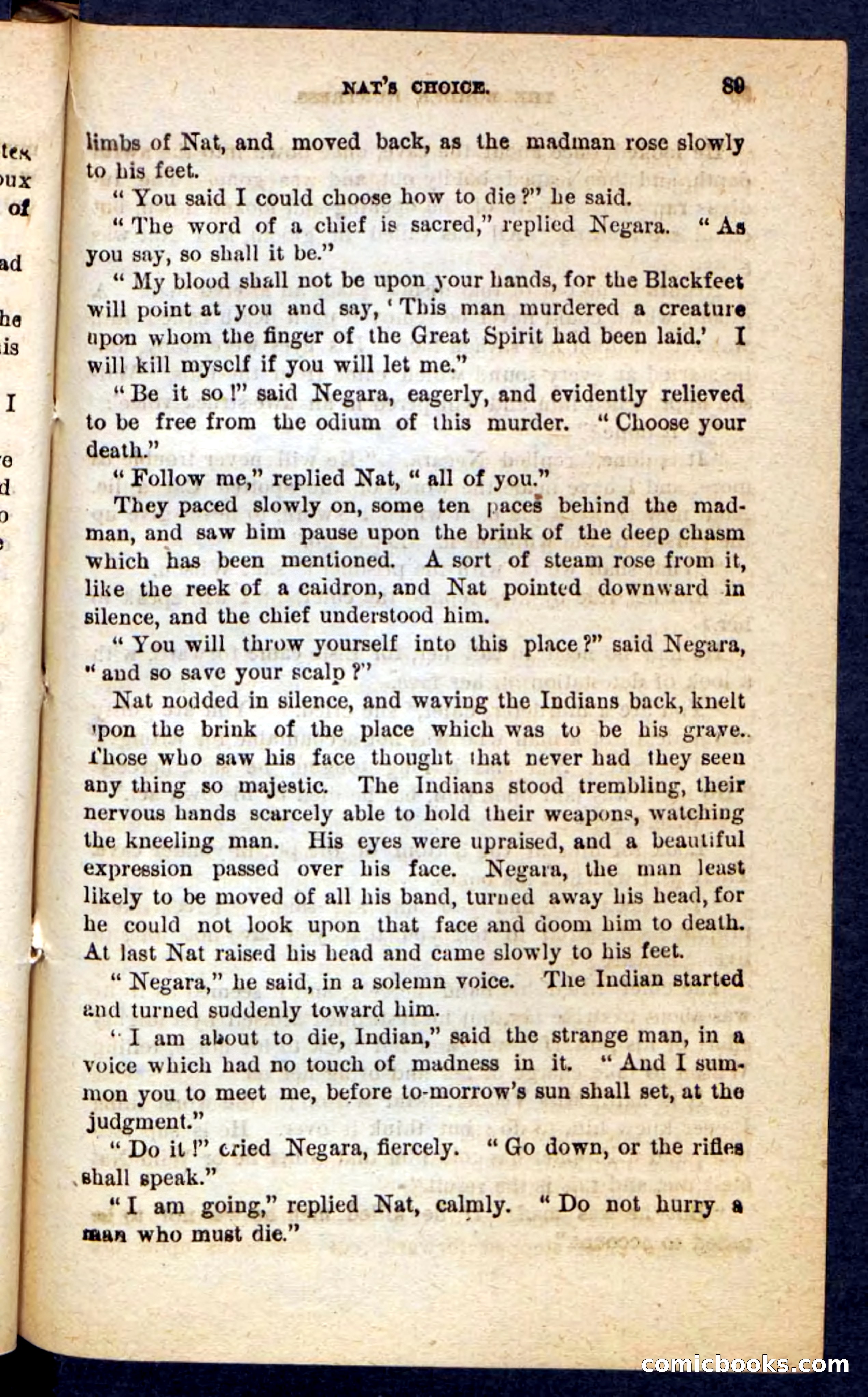 Beadle's Pocket Novels No. 165: Wild Nat, the Gulch Terror — page 85 of 100