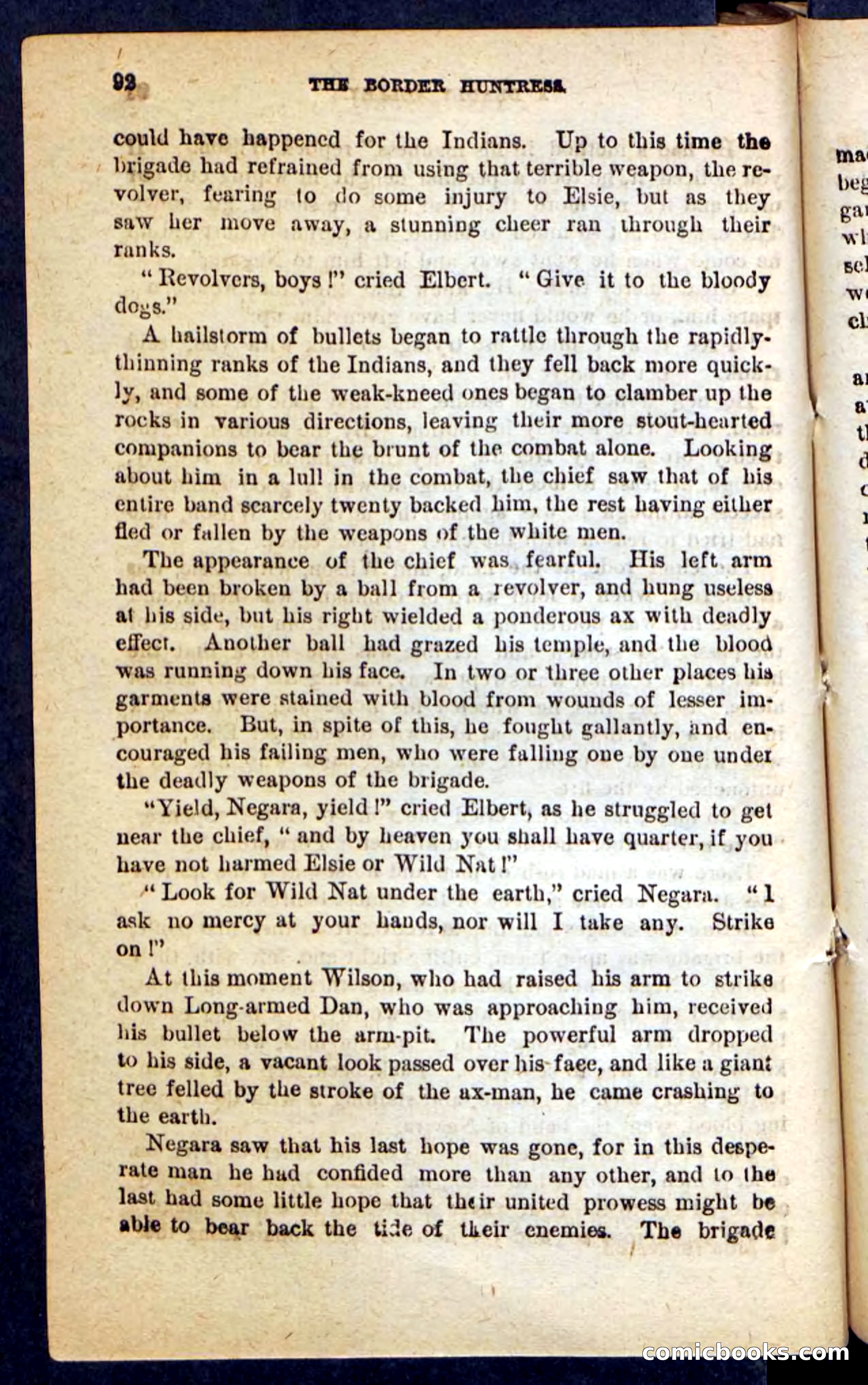Beadle's Pocket Novels No. 165: Wild Nat, the Gulch Terror — page 88 of 100