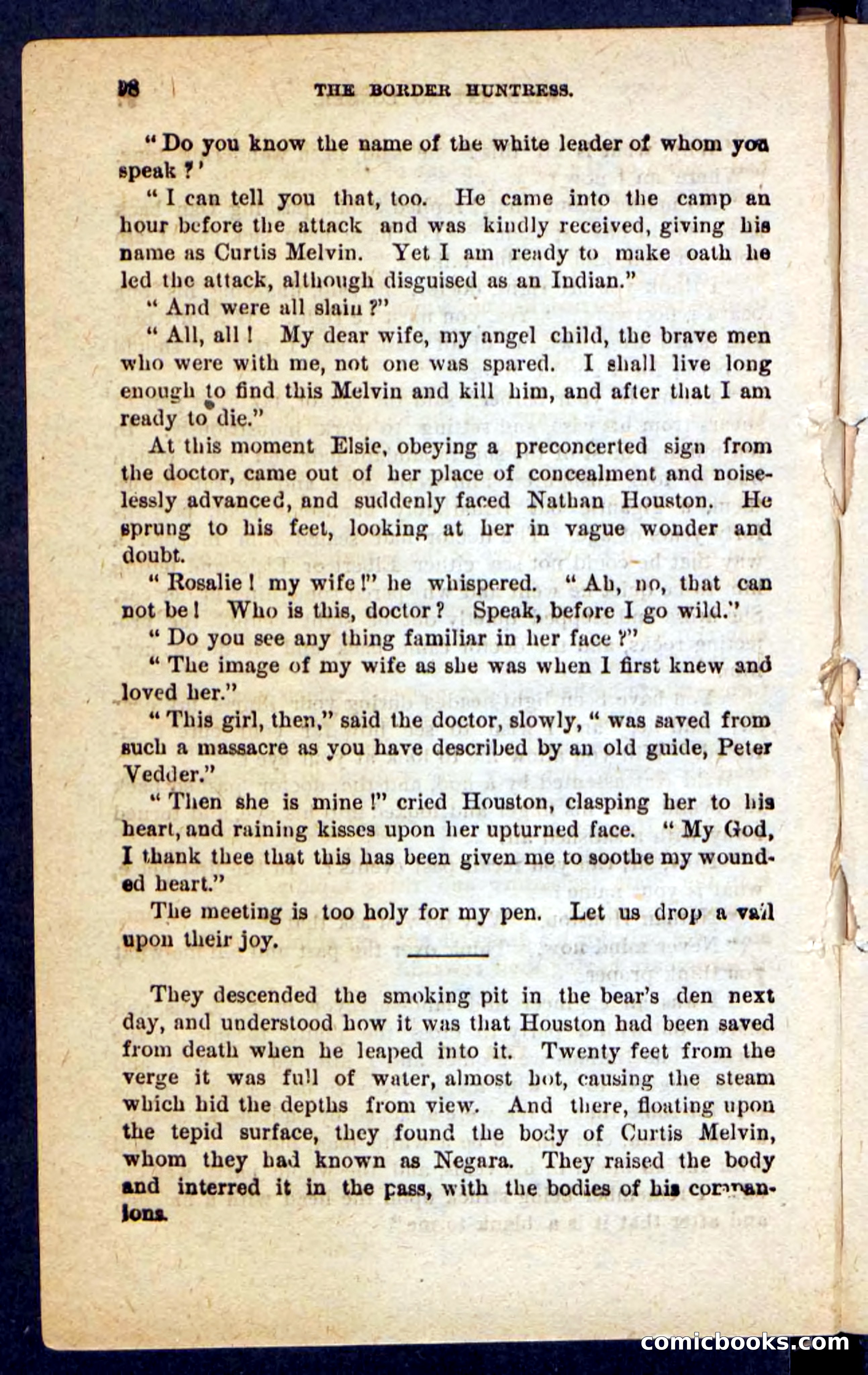 Beadle's Pocket Novels No. 165: Wild Nat, the Gulch Terror — page 94 of 100