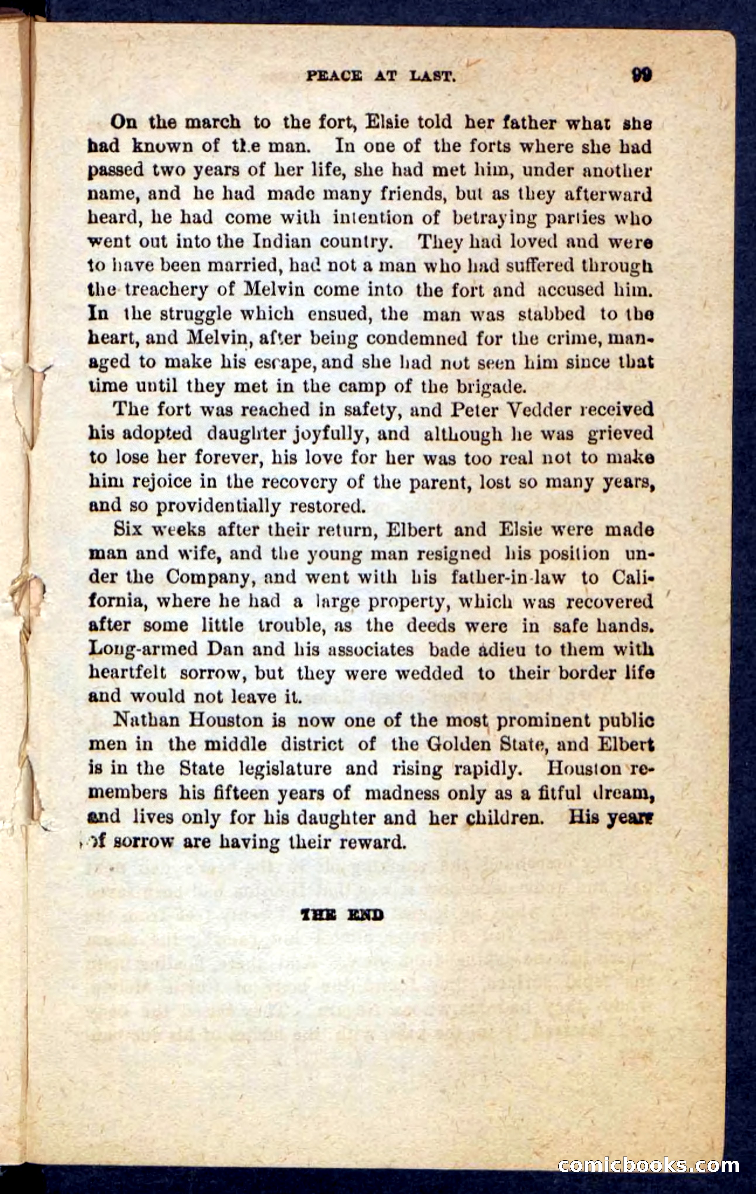 Beadle's Pocket Novels No. 165: Wild Nat, the Gulch Terror — page 95 of 100