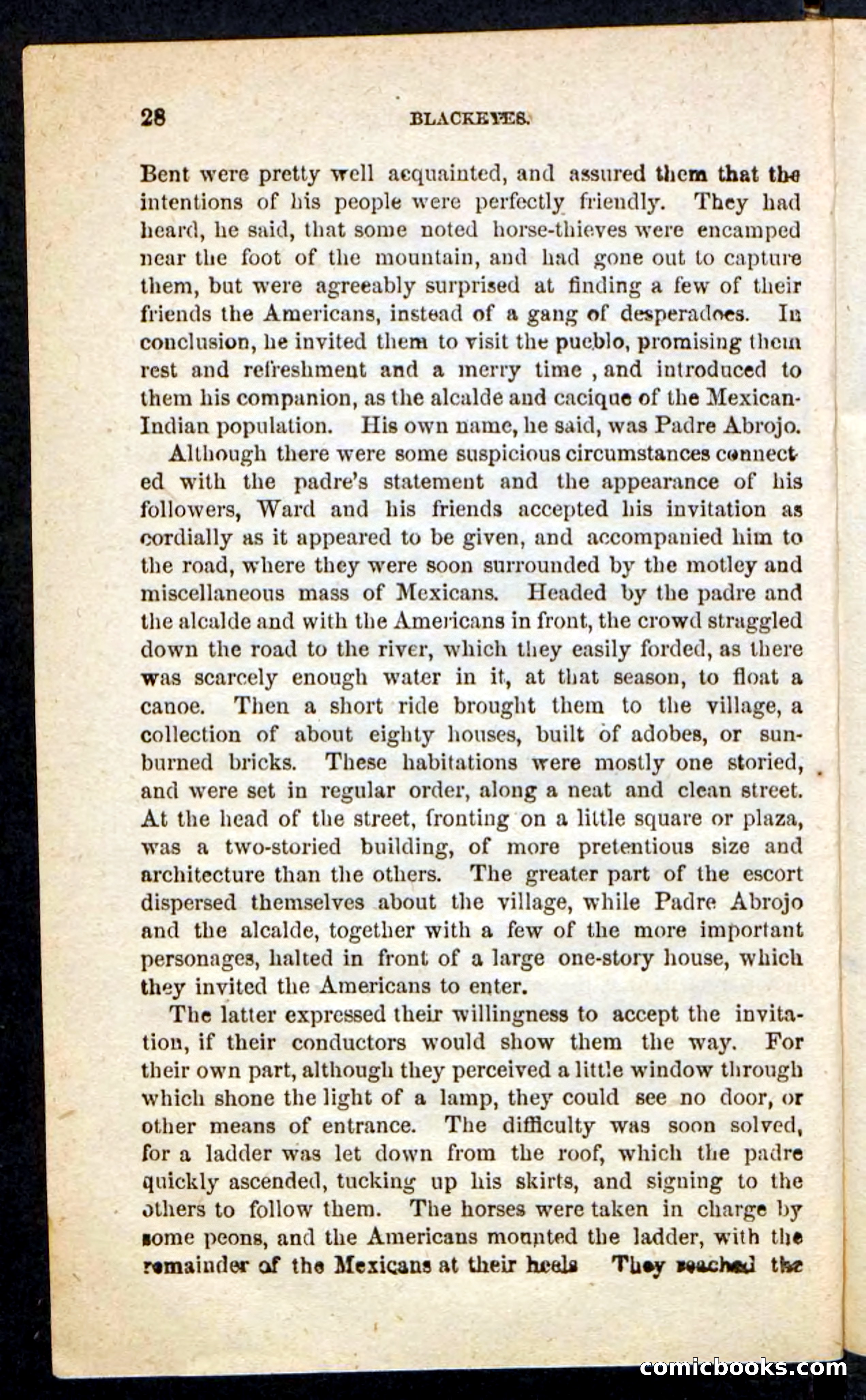 The Three Captives — page 24 of 100