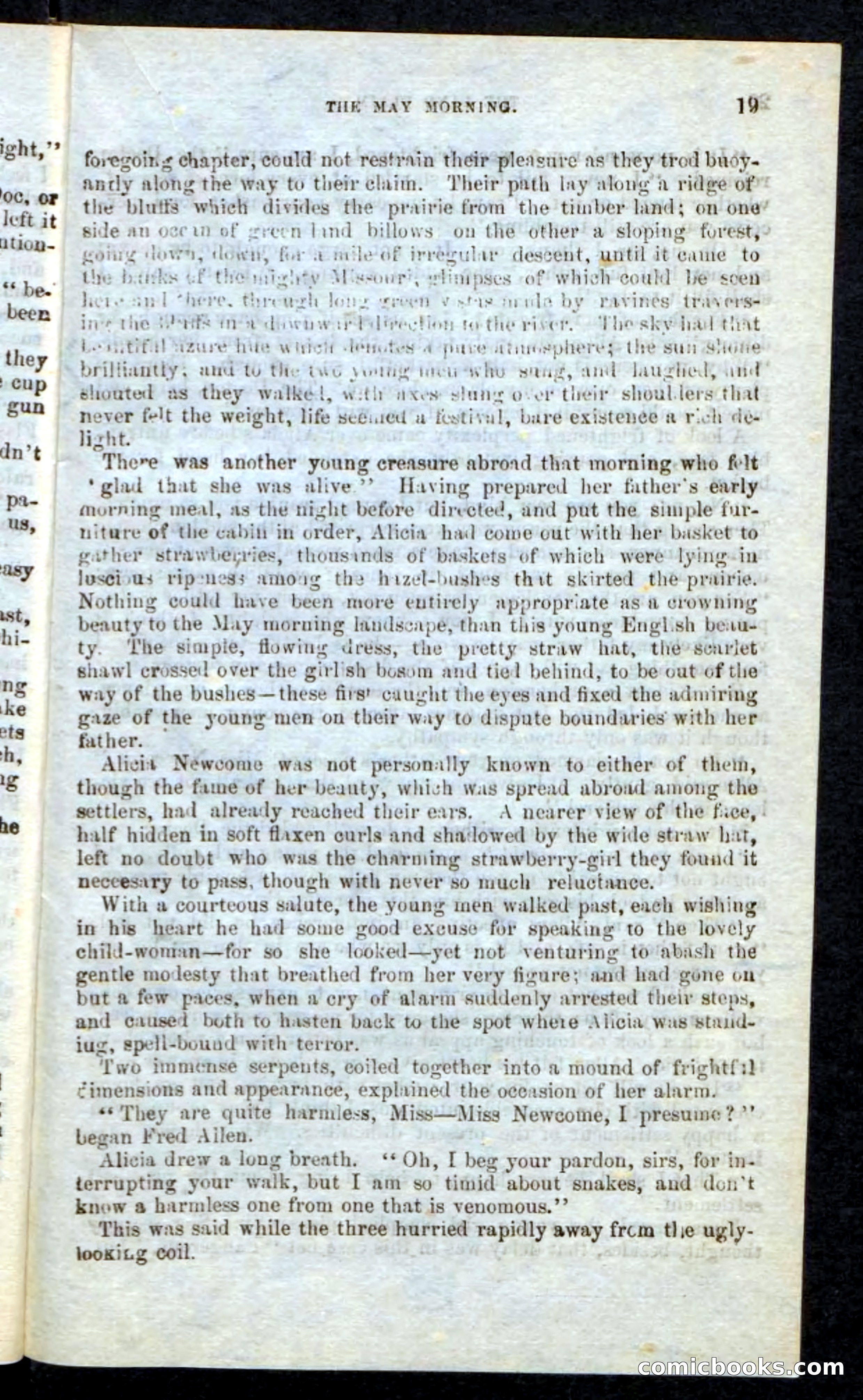Beadle's Pocket Novels: Border Law — page 15 of 98