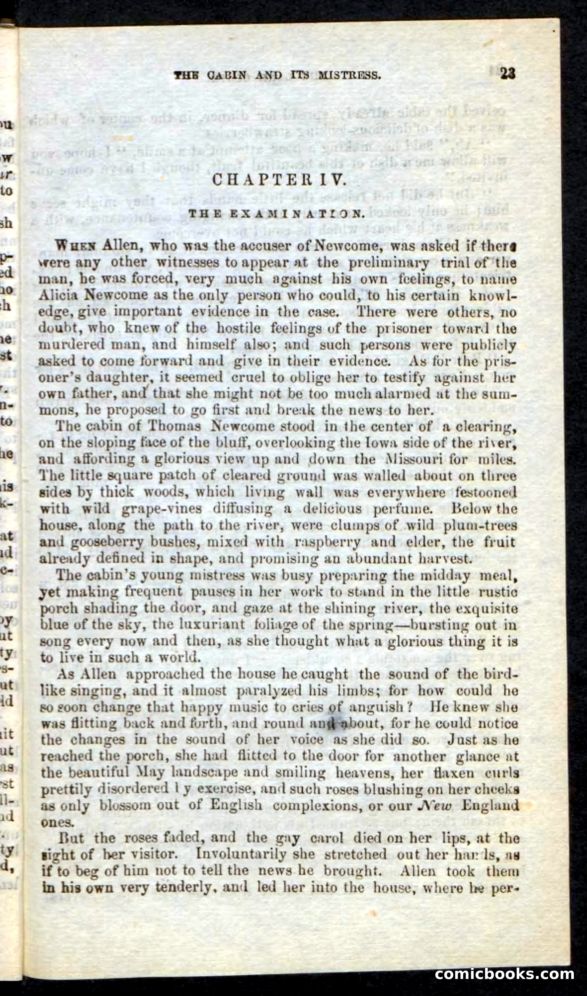 Beadle's Pocket Novels: Border Law — page 19 of 98