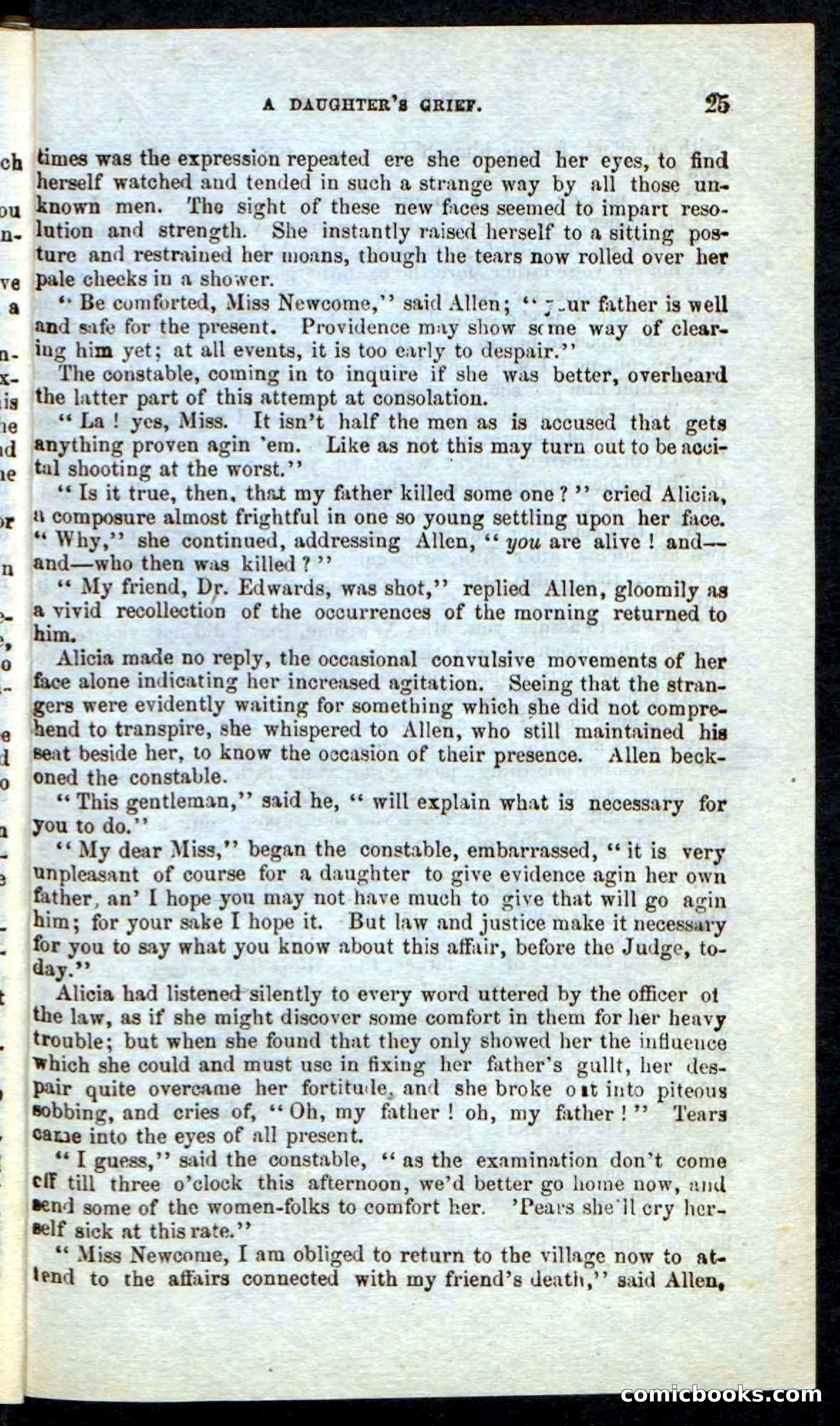 Beadle's Pocket Novels: Border Law — page 21 of 98
