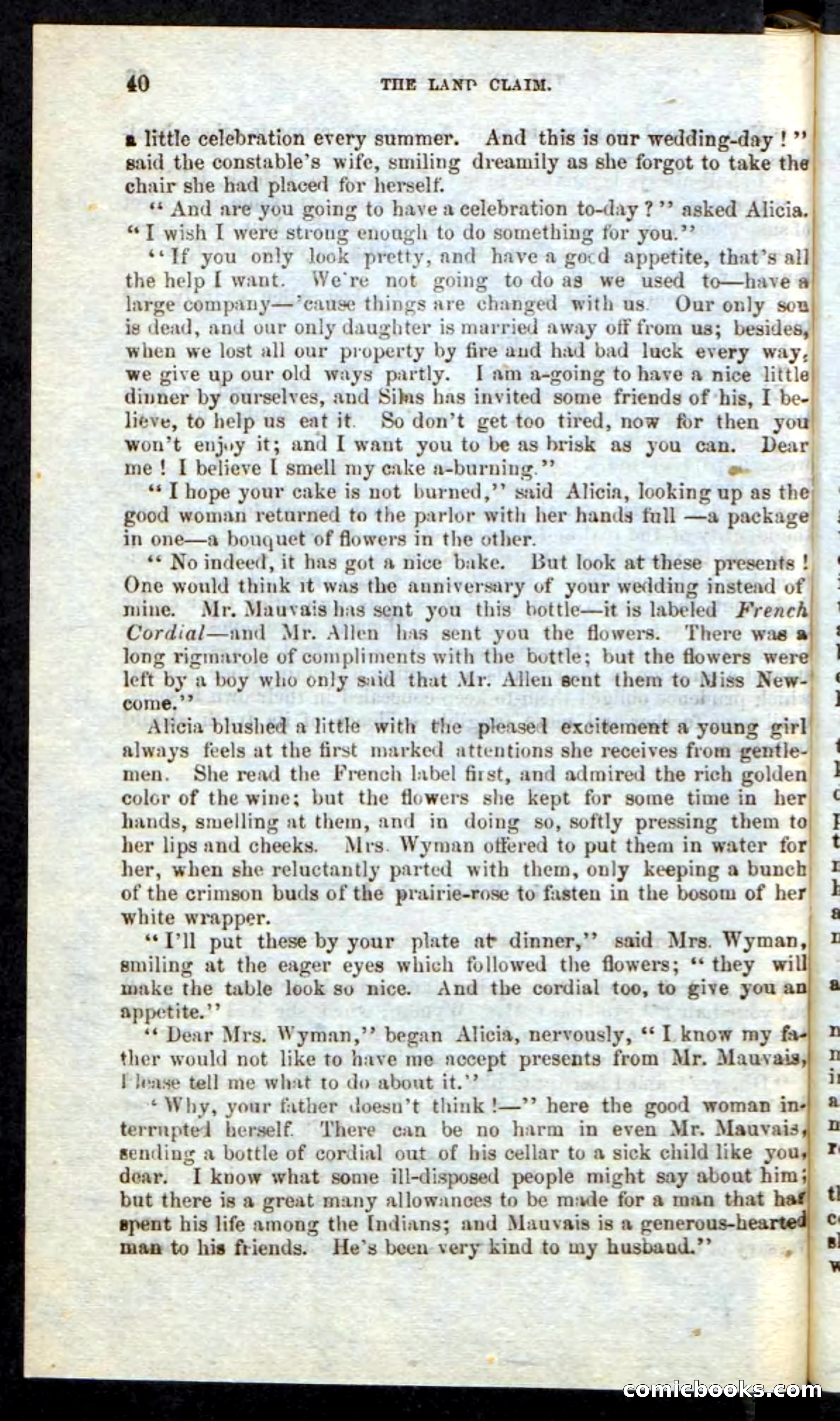 Beadle's Pocket Novels: Border Law — page 36 of 98