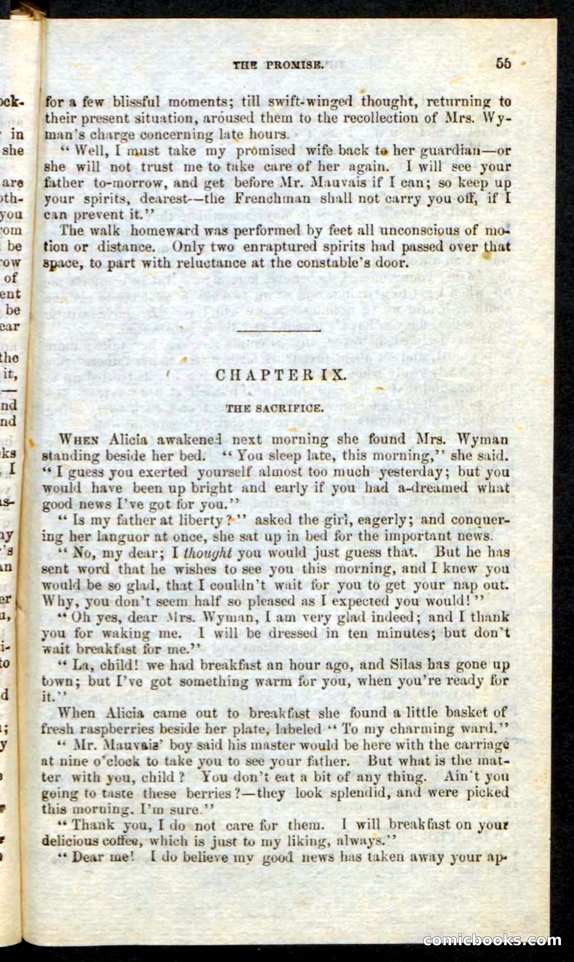 Beadle's Pocket Novels: Border Law — page 51 of 98