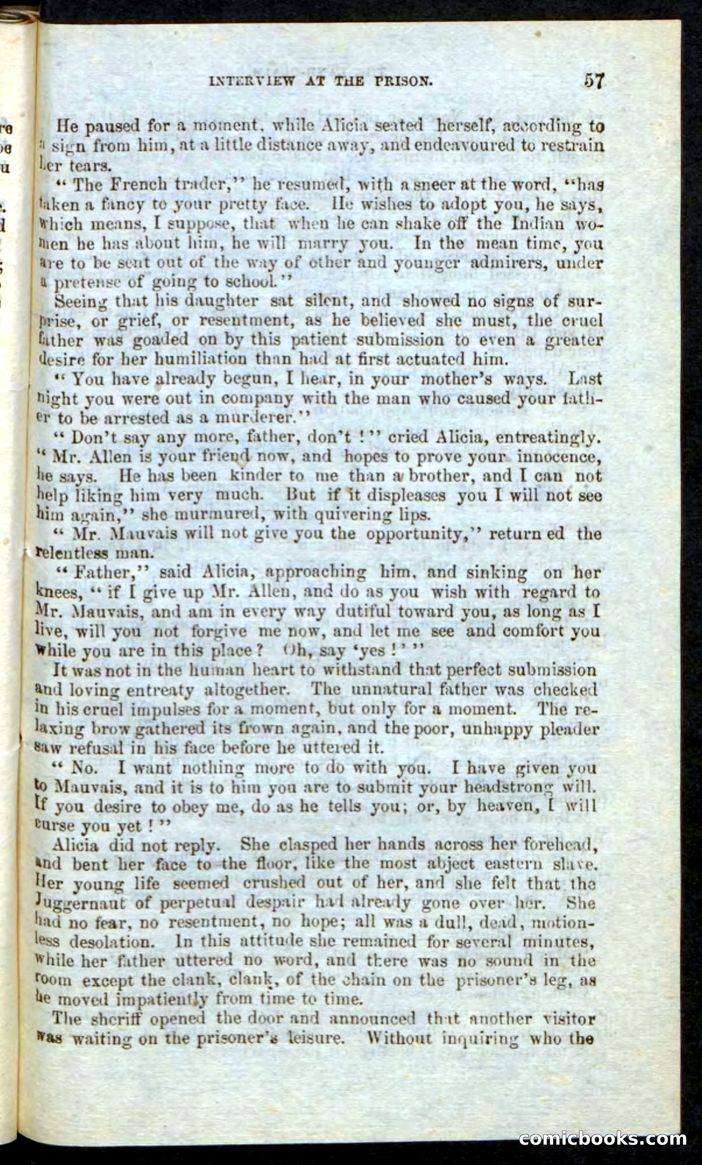 Beadle's Pocket Novels: Border Law — page 53 of 98