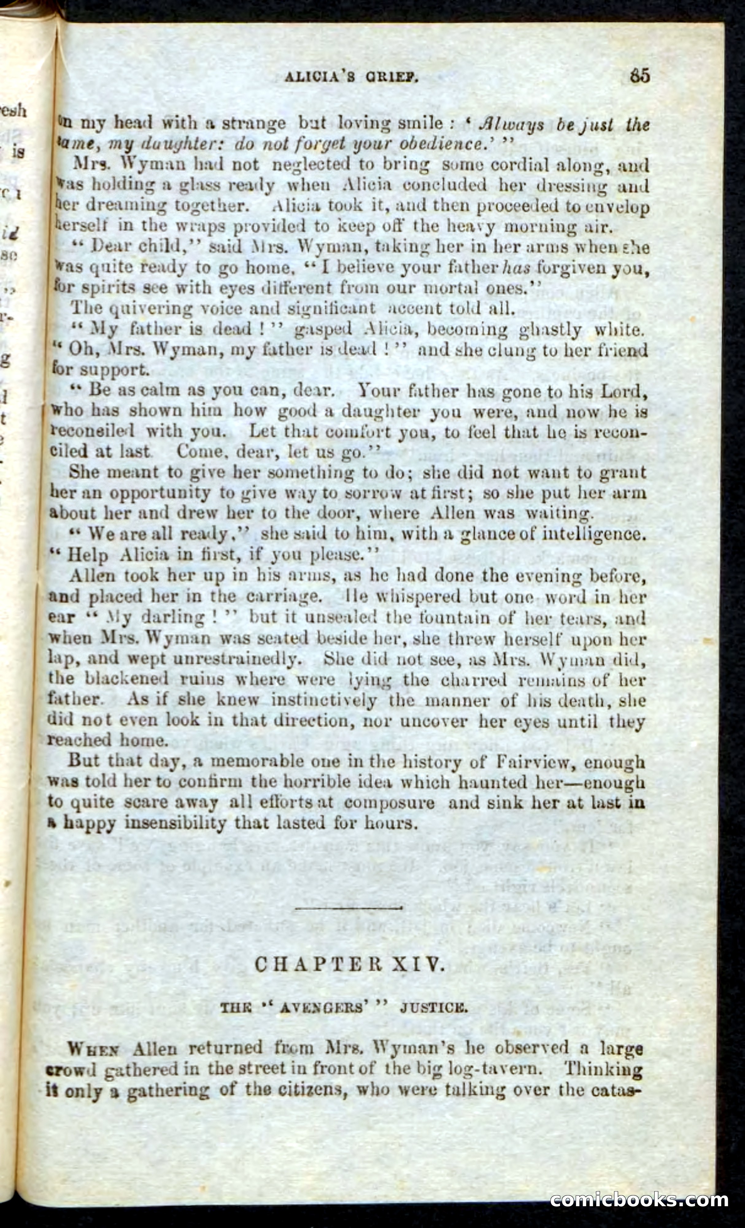 Beadle's Pocket Novels: Border Law — page 81 of 98