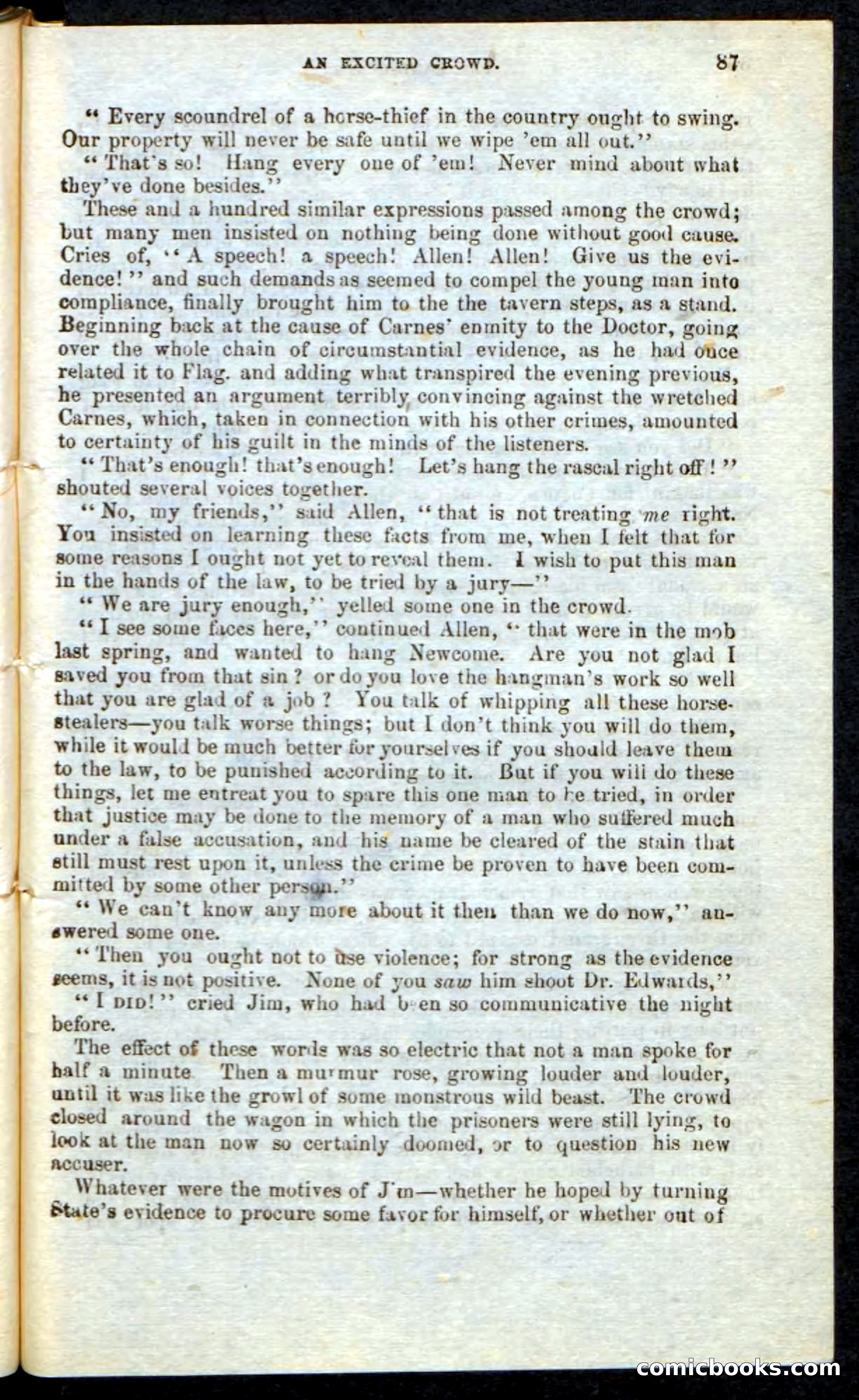 Beadle's Pocket Novels: Border Law — page 83 of 98