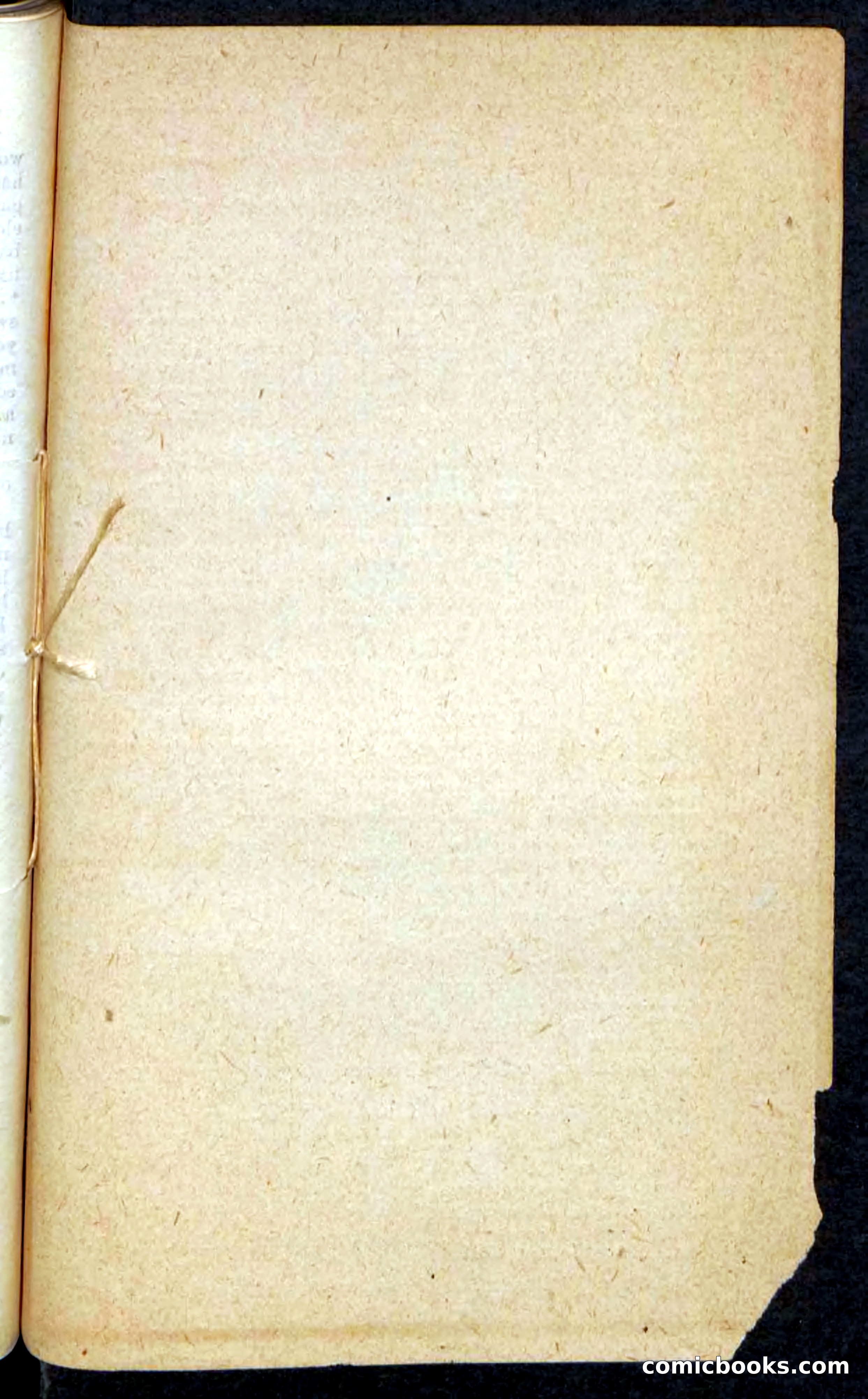 Beadle's Pocket Novels: Border Law — page 97 of 98