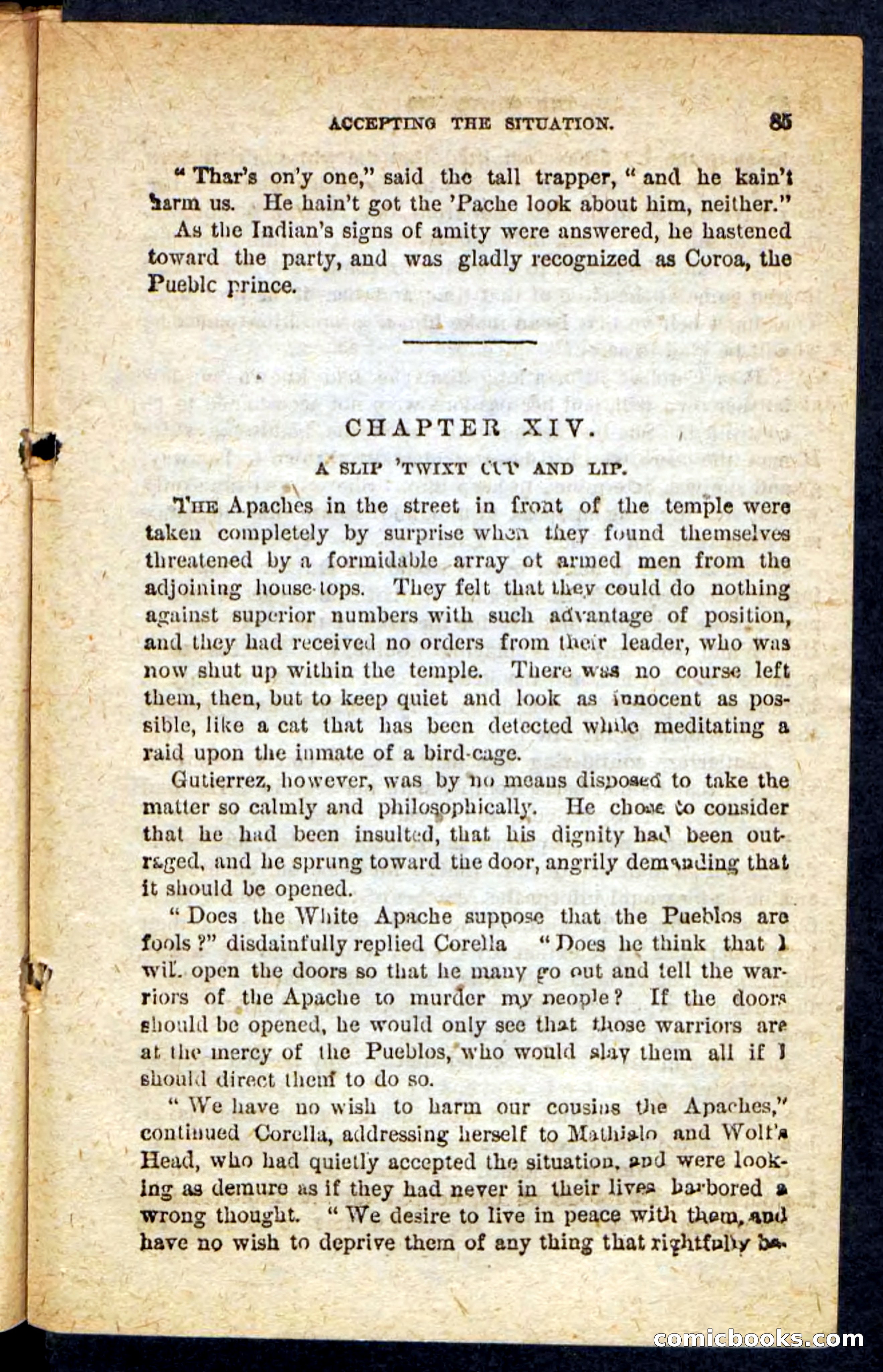 The Lifted Trail — page 81 of 100
