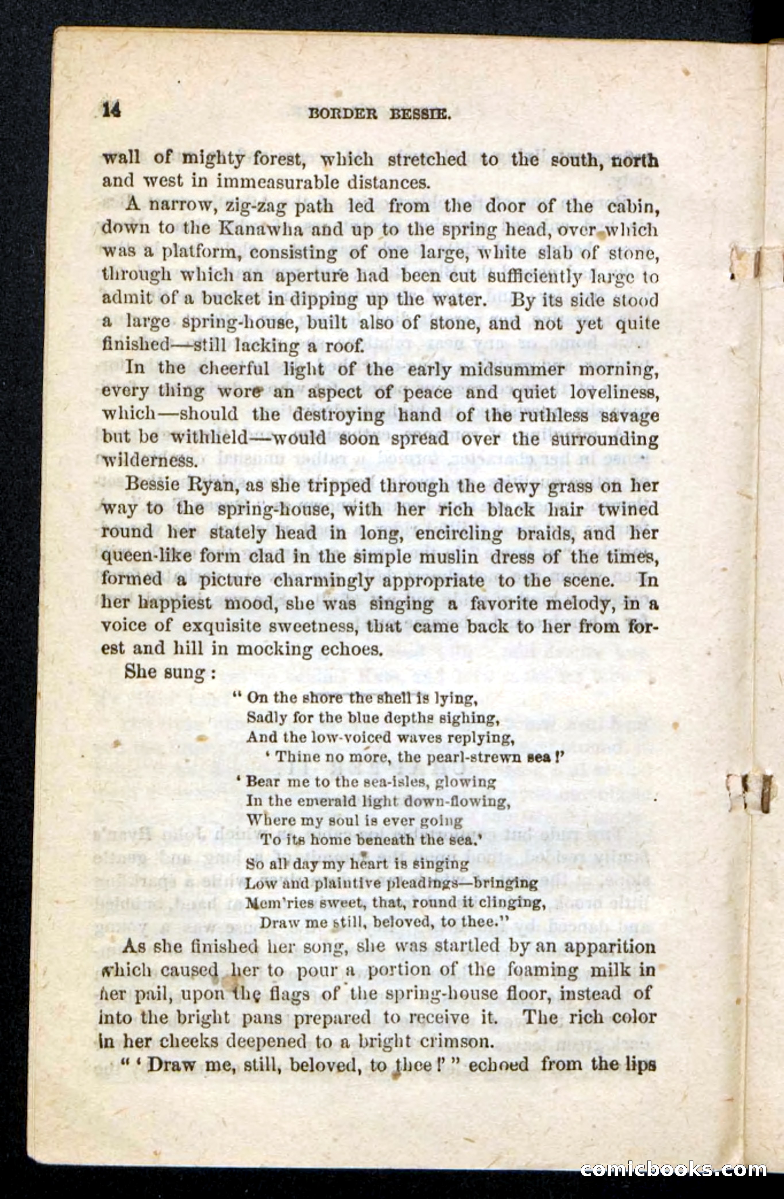 Beadle's Pocket Novels No. 175: Border Bessie — page 8 of 92