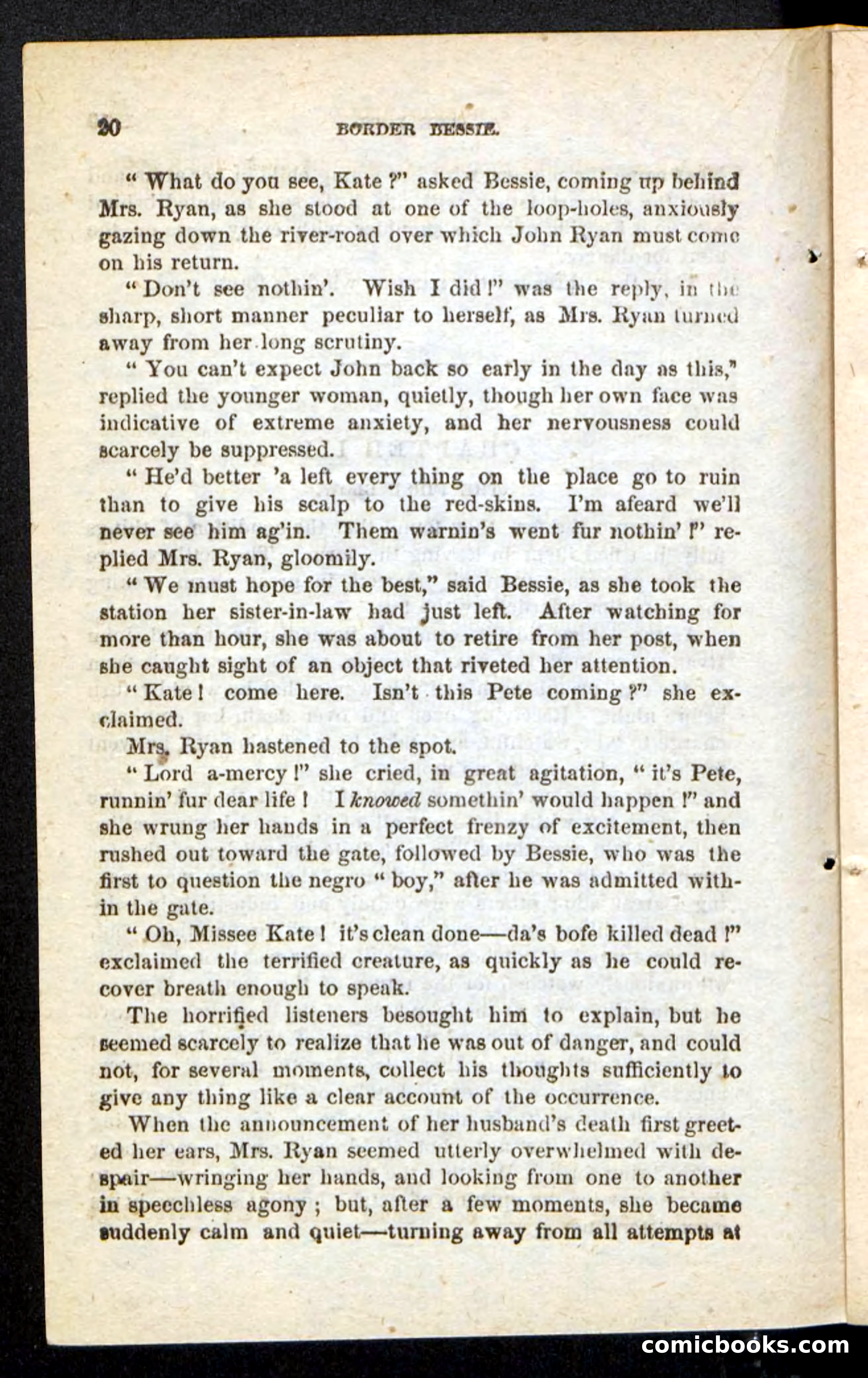 Beadle's Pocket Novels No. 175: Border Bessie — page 14 of 92