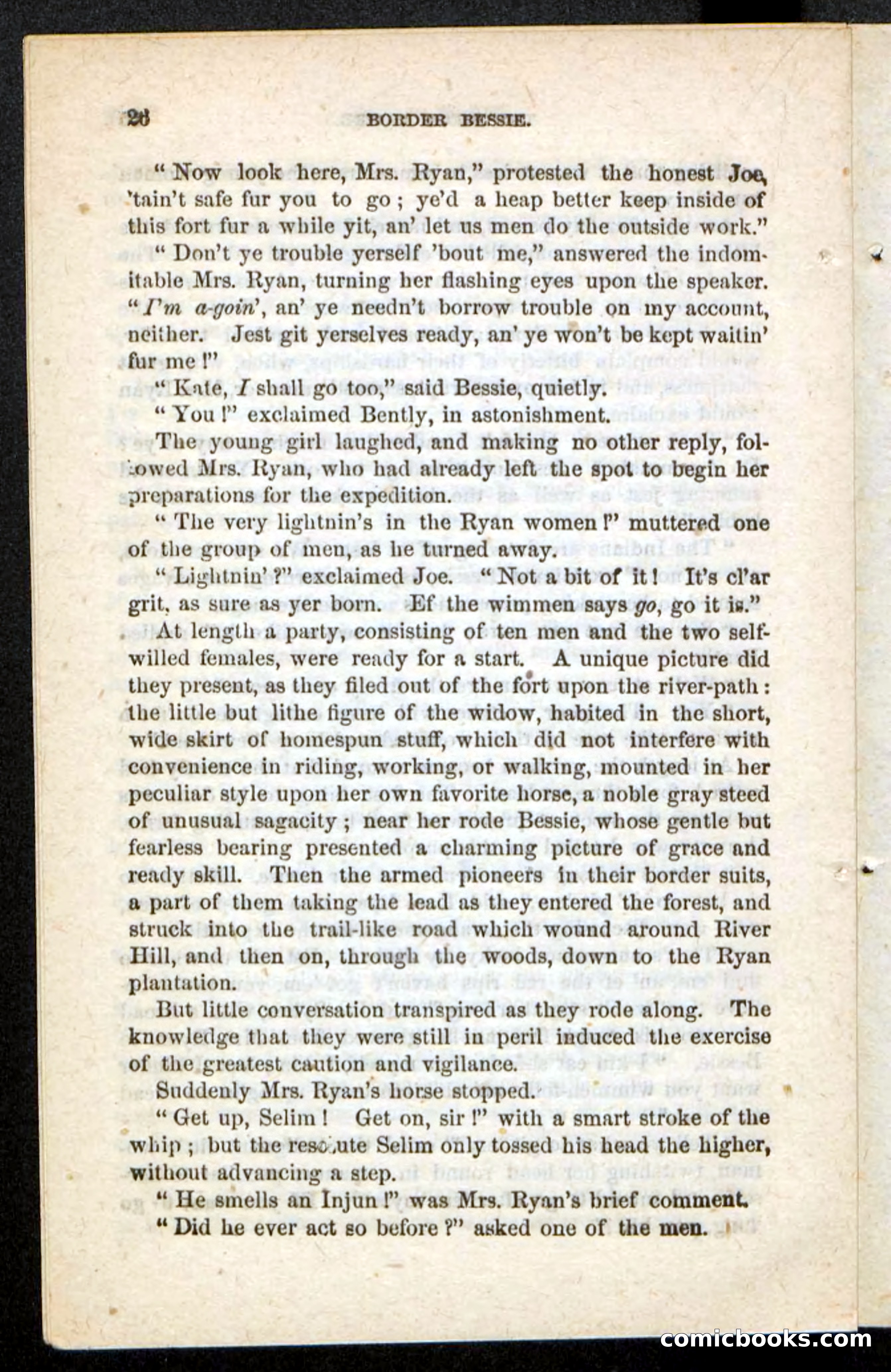 Beadle's Pocket Novels No. 175: Border Bessie — page 20 of 92