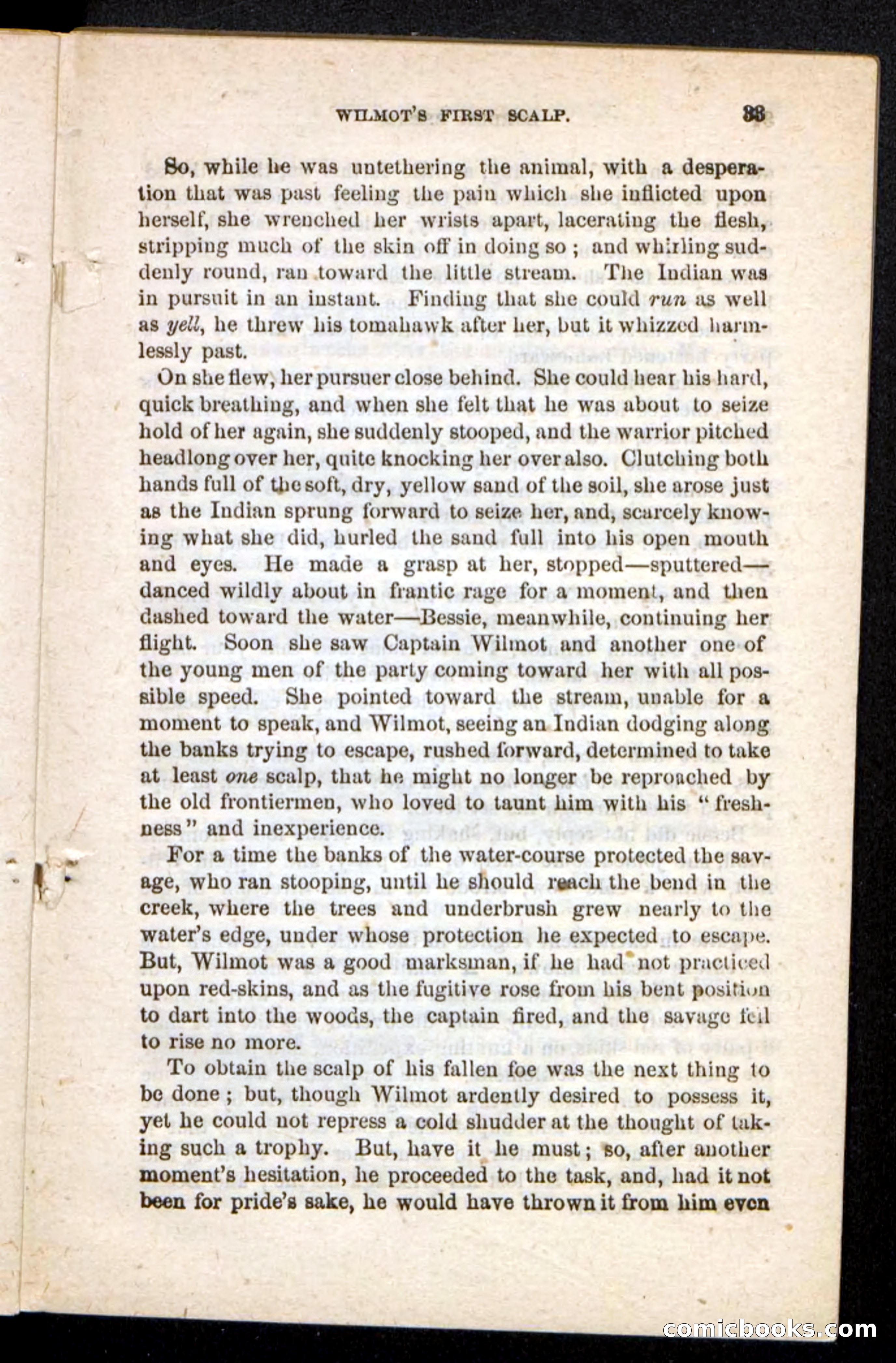 Beadle's Pocket Novels No. 175: Border Bessie — page 27 of 92