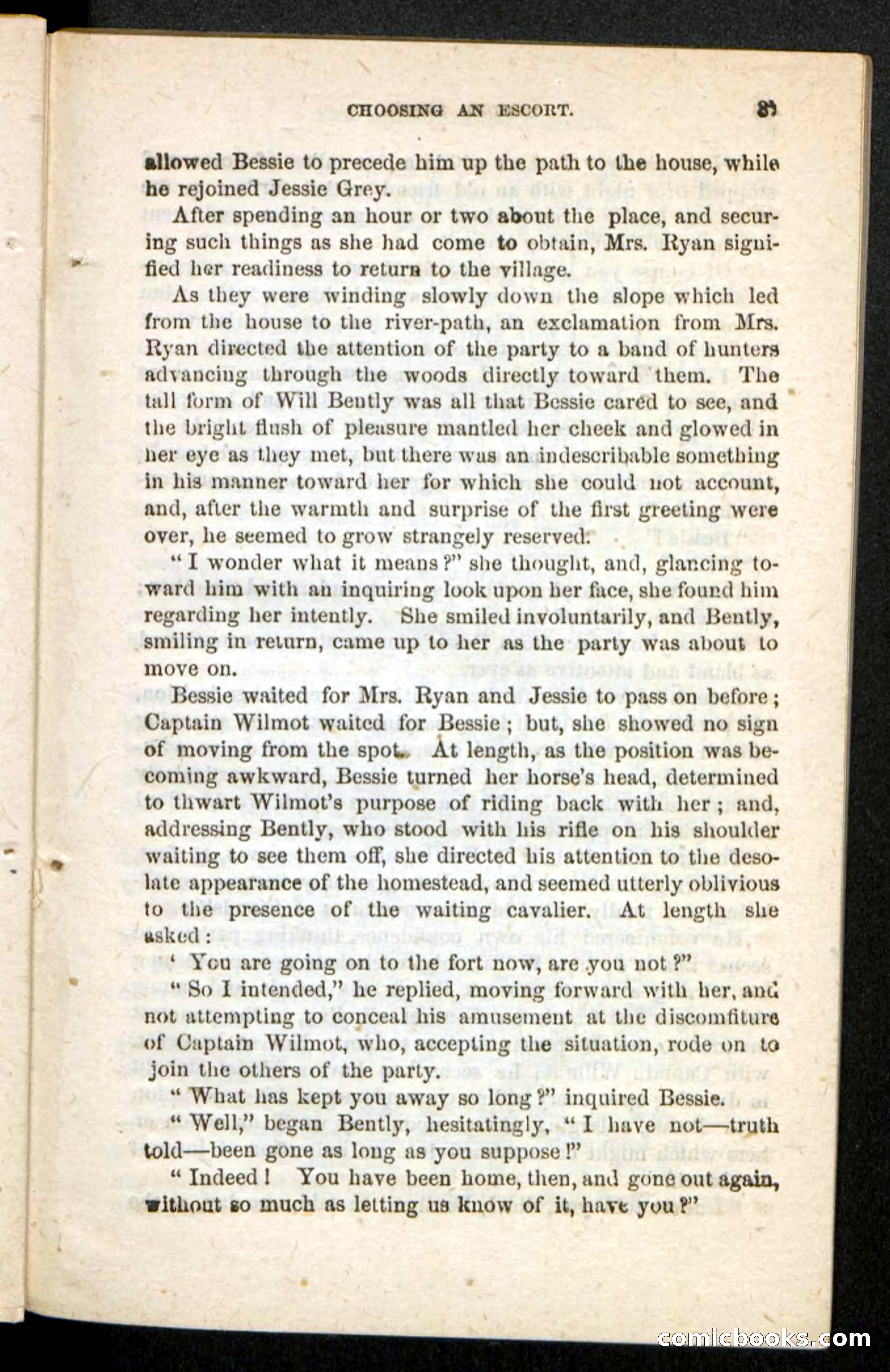 Beadle's Pocket Novels No. 175: Border Bessie — page 29 of 92