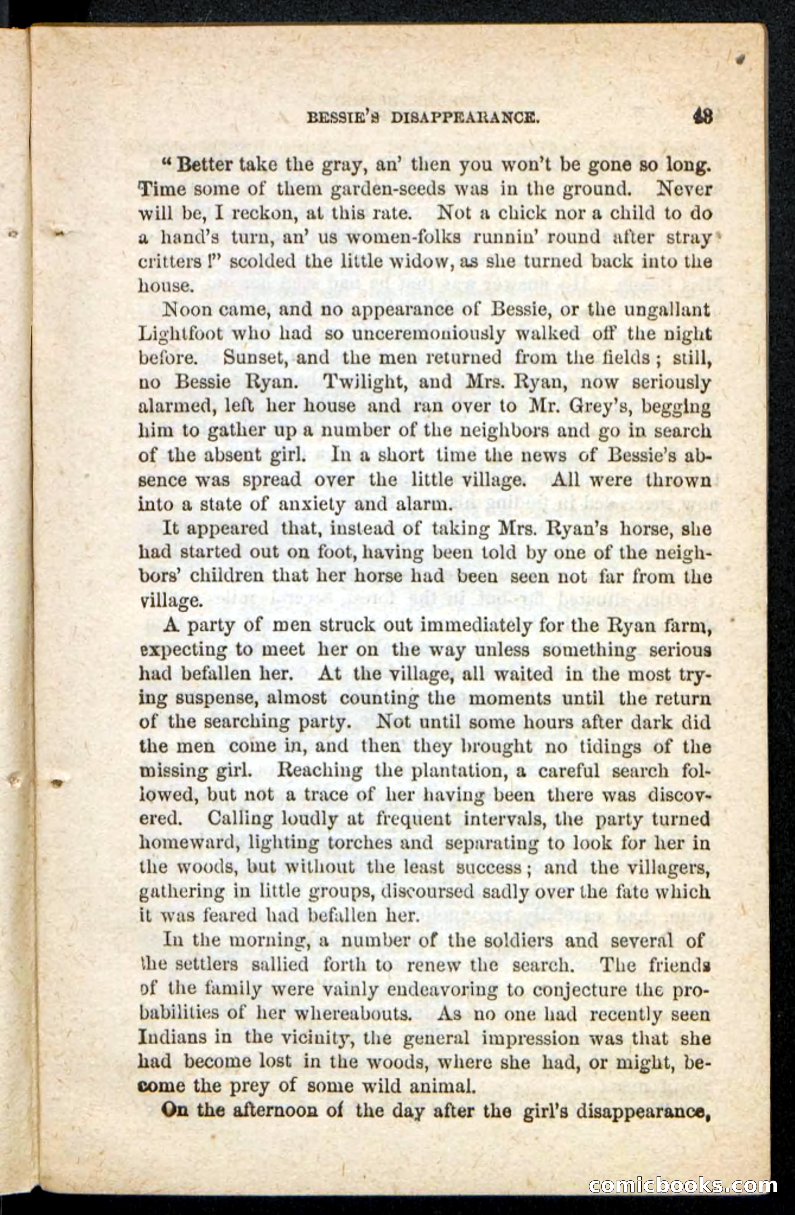Beadle's Pocket Novels No. 175: Border Bessie — page 35 of 92