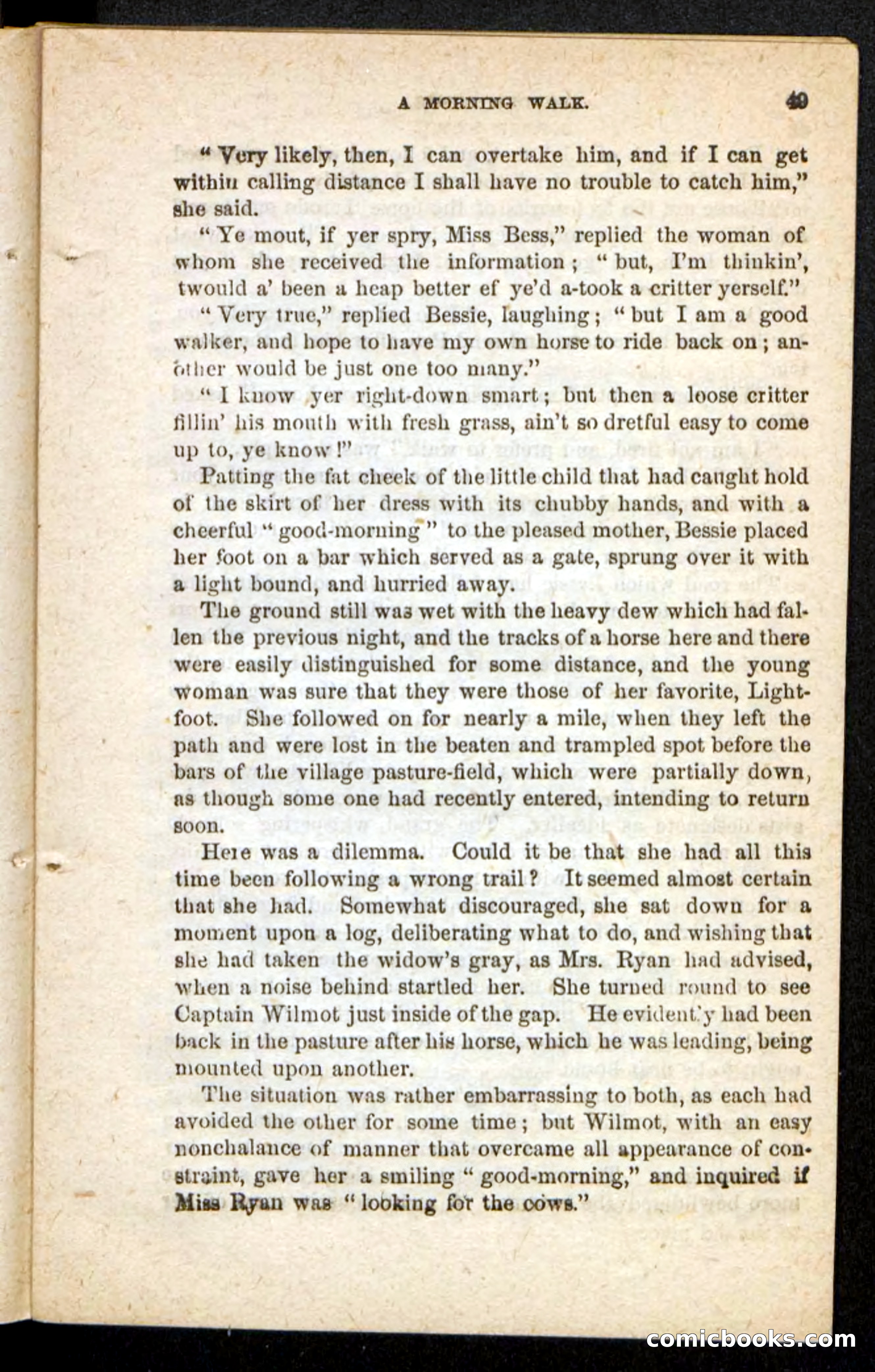Beadle's Pocket Novels No. 175: Border Bessie — page 41 of 92