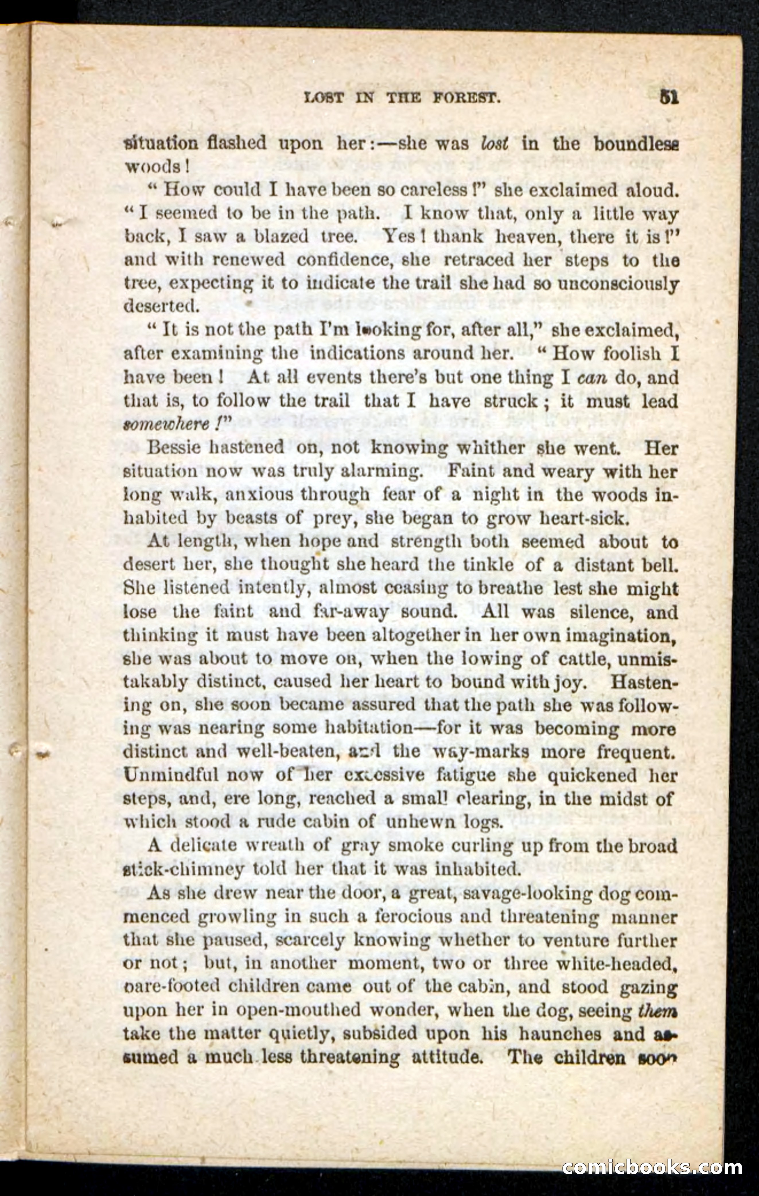 Beadle's Pocket Novels No. 175: Border Bessie — page 43 of 92