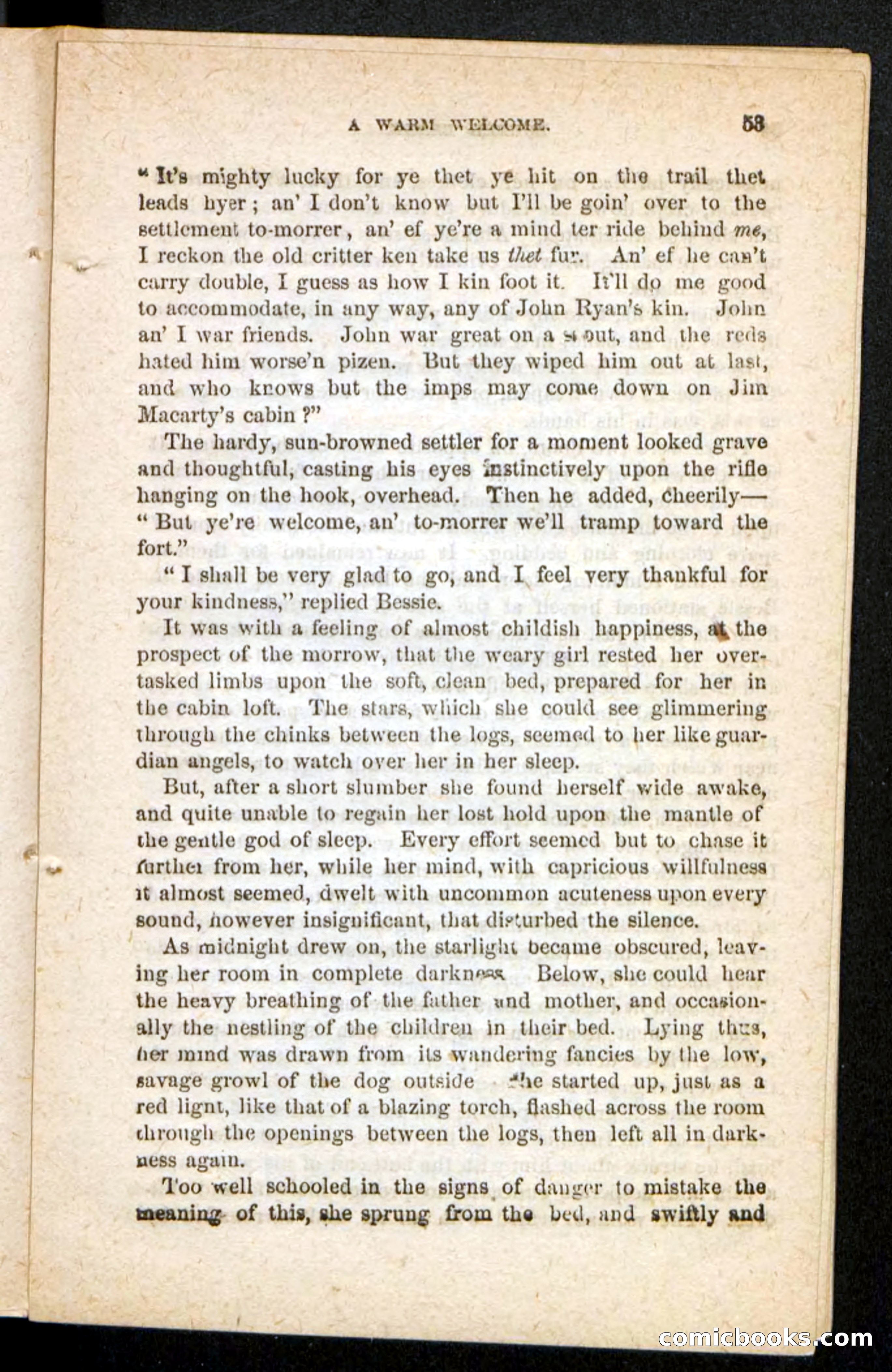 Beadle's Pocket Novels No. 175: Border Bessie — page 45 of 92