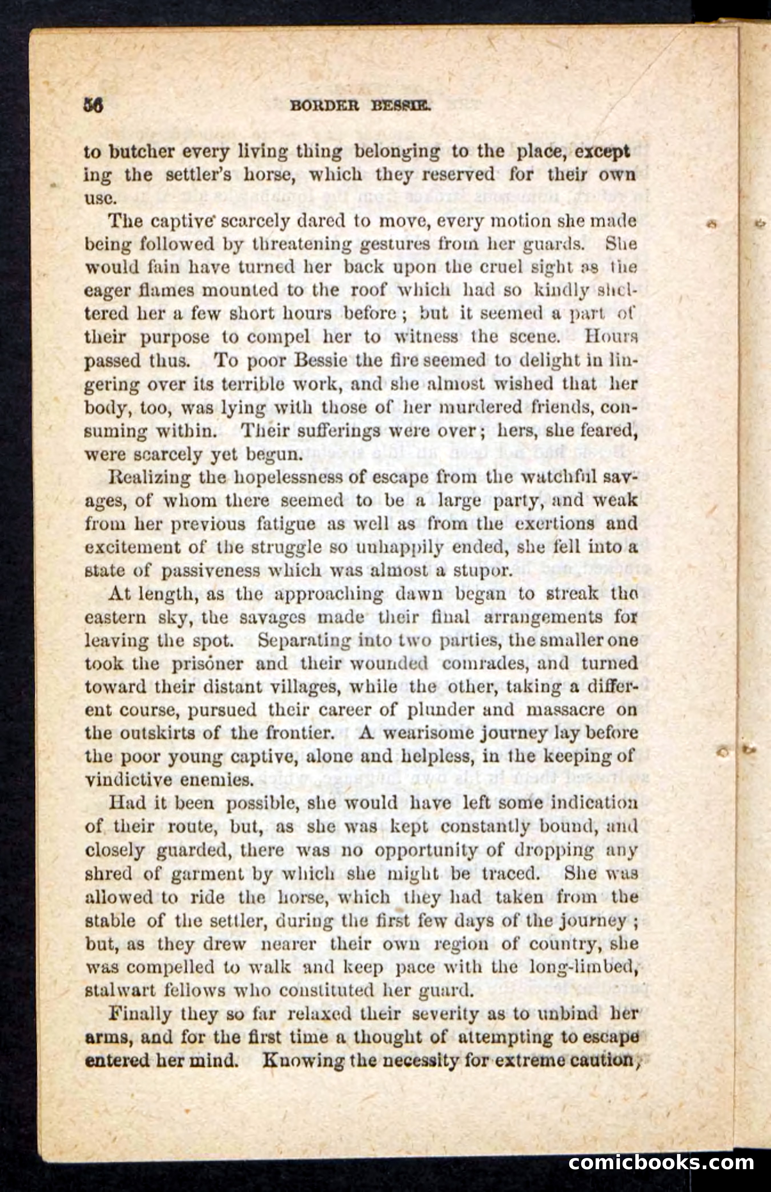 Beadle's Pocket Novels No. 175: Border Bessie — page 48 of 92