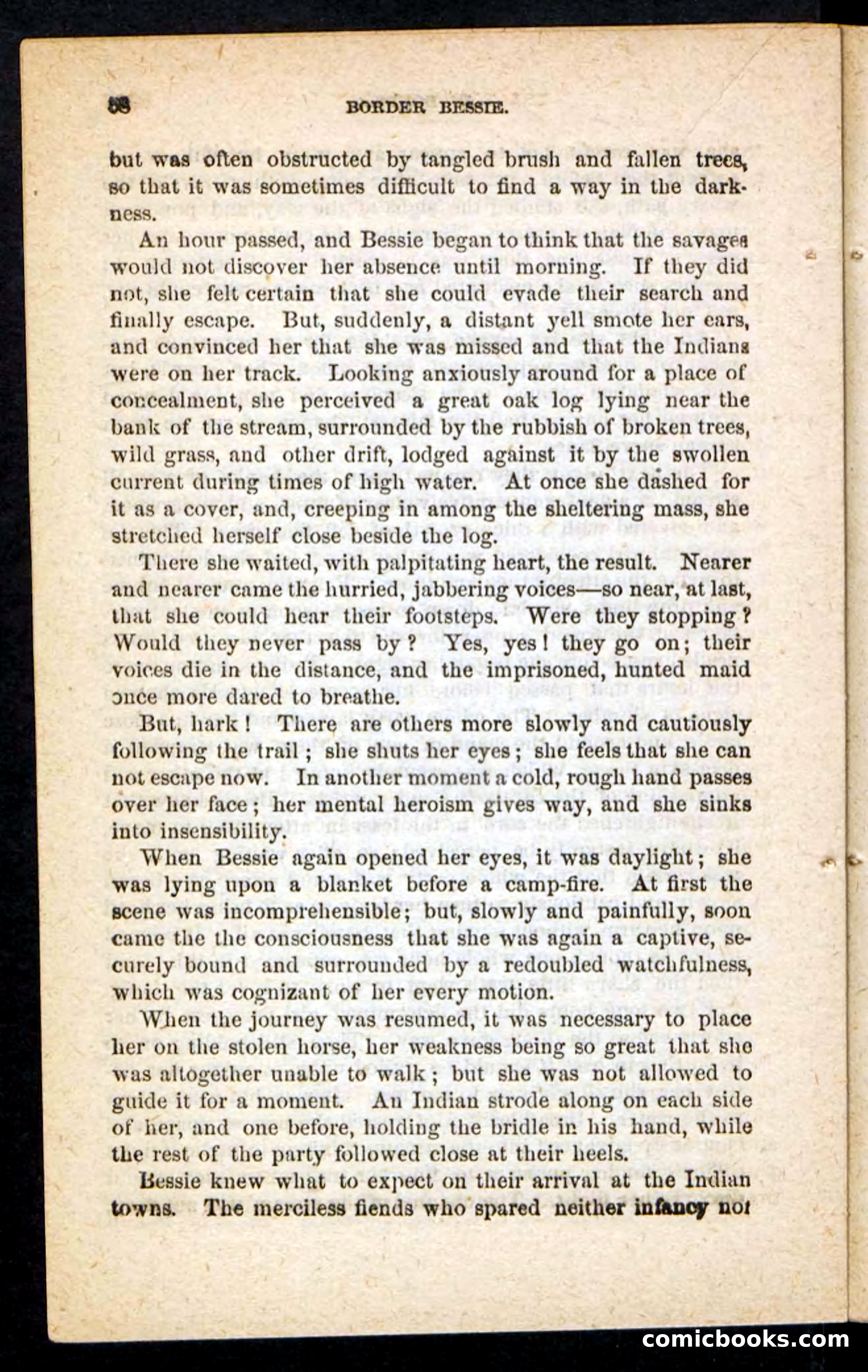 Beadle's Pocket Novels No. 175: Border Bessie — page 50 of 92