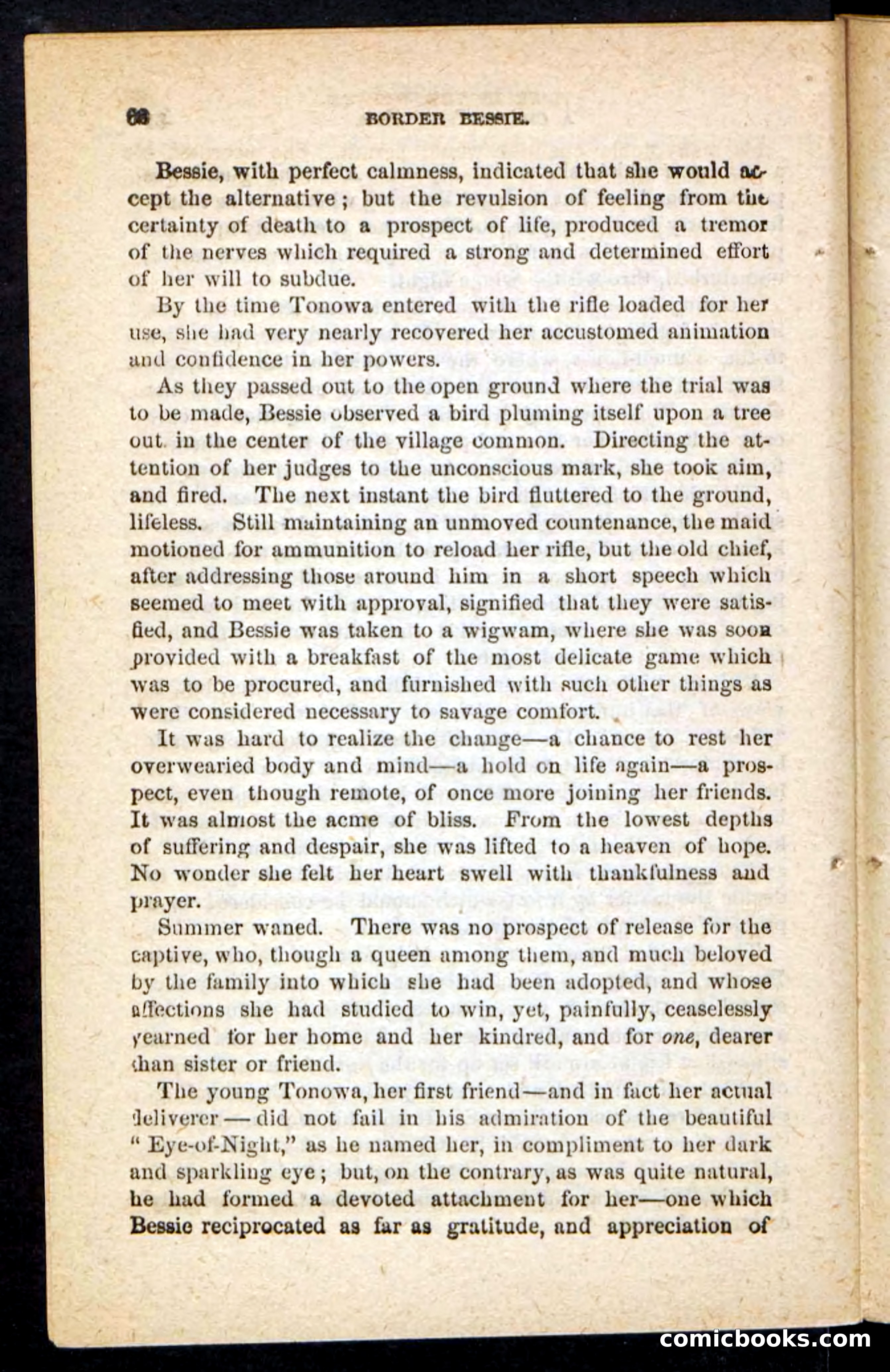 Beadle's Pocket Novels No. 175: Border Bessie — page 54 of 92