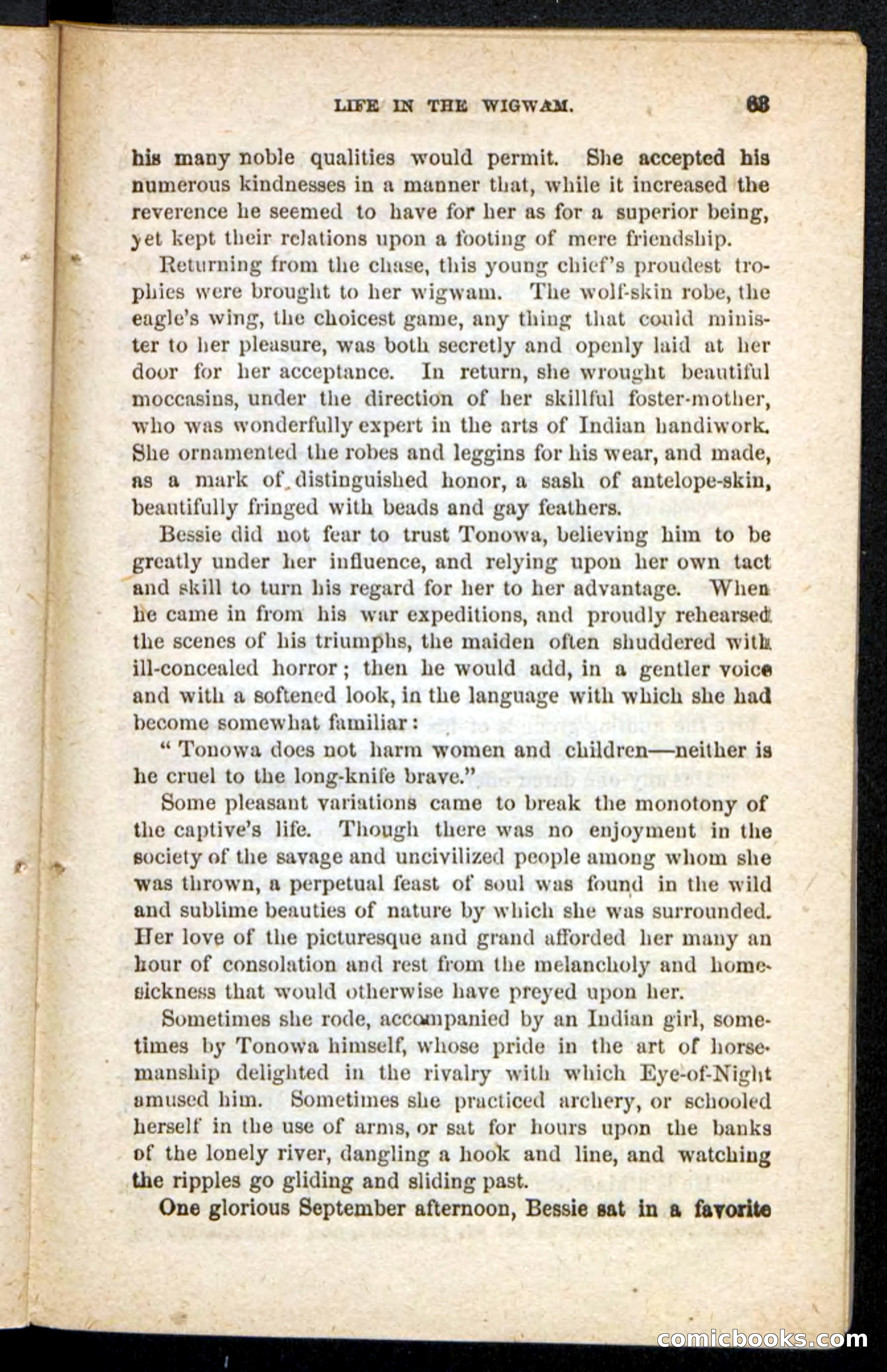 Beadle's Pocket Novels No. 175: Border Bessie — page 55 of 92