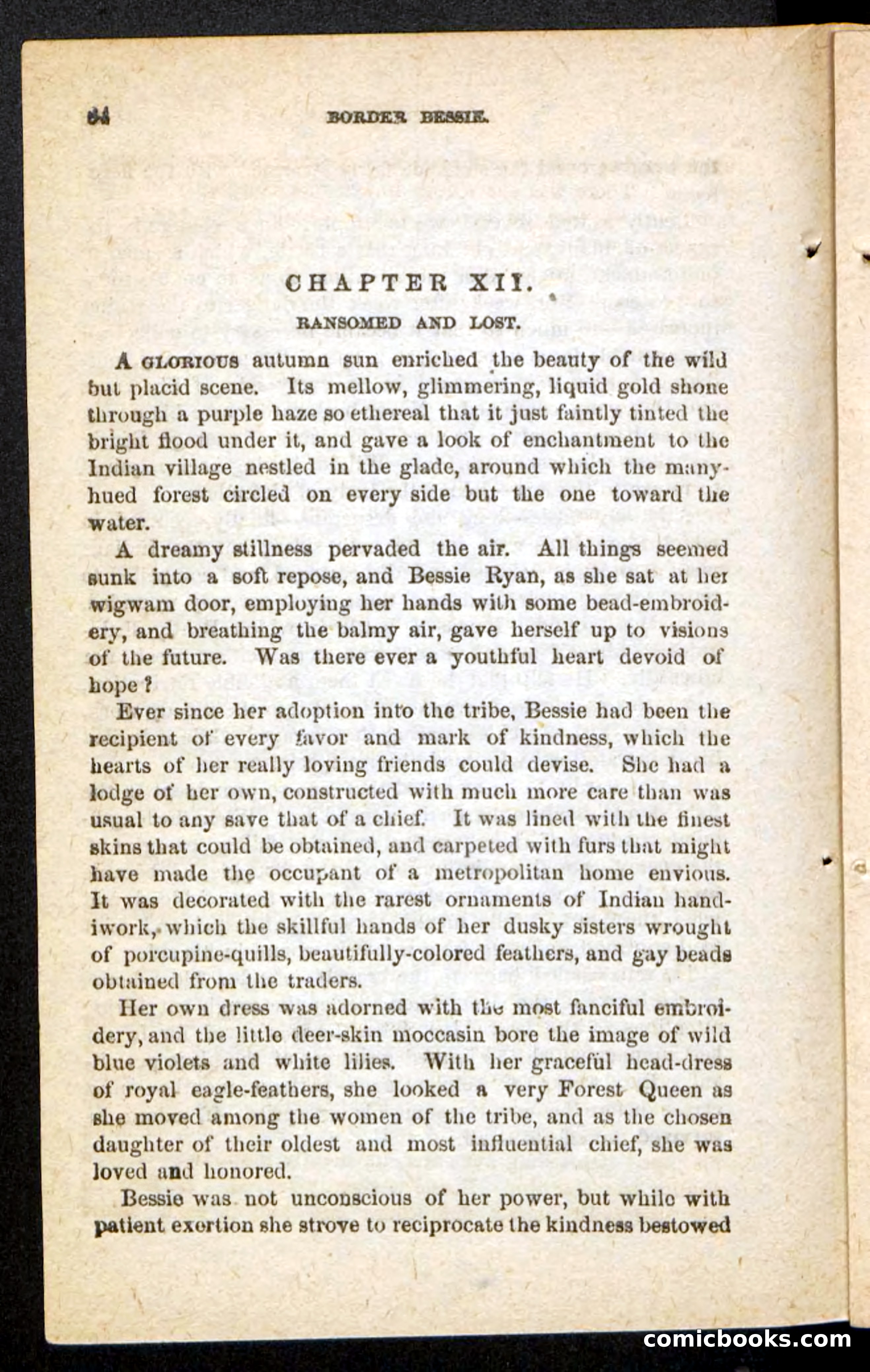 Beadle's Pocket Novels No. 175: Border Bessie — page 74 of 92