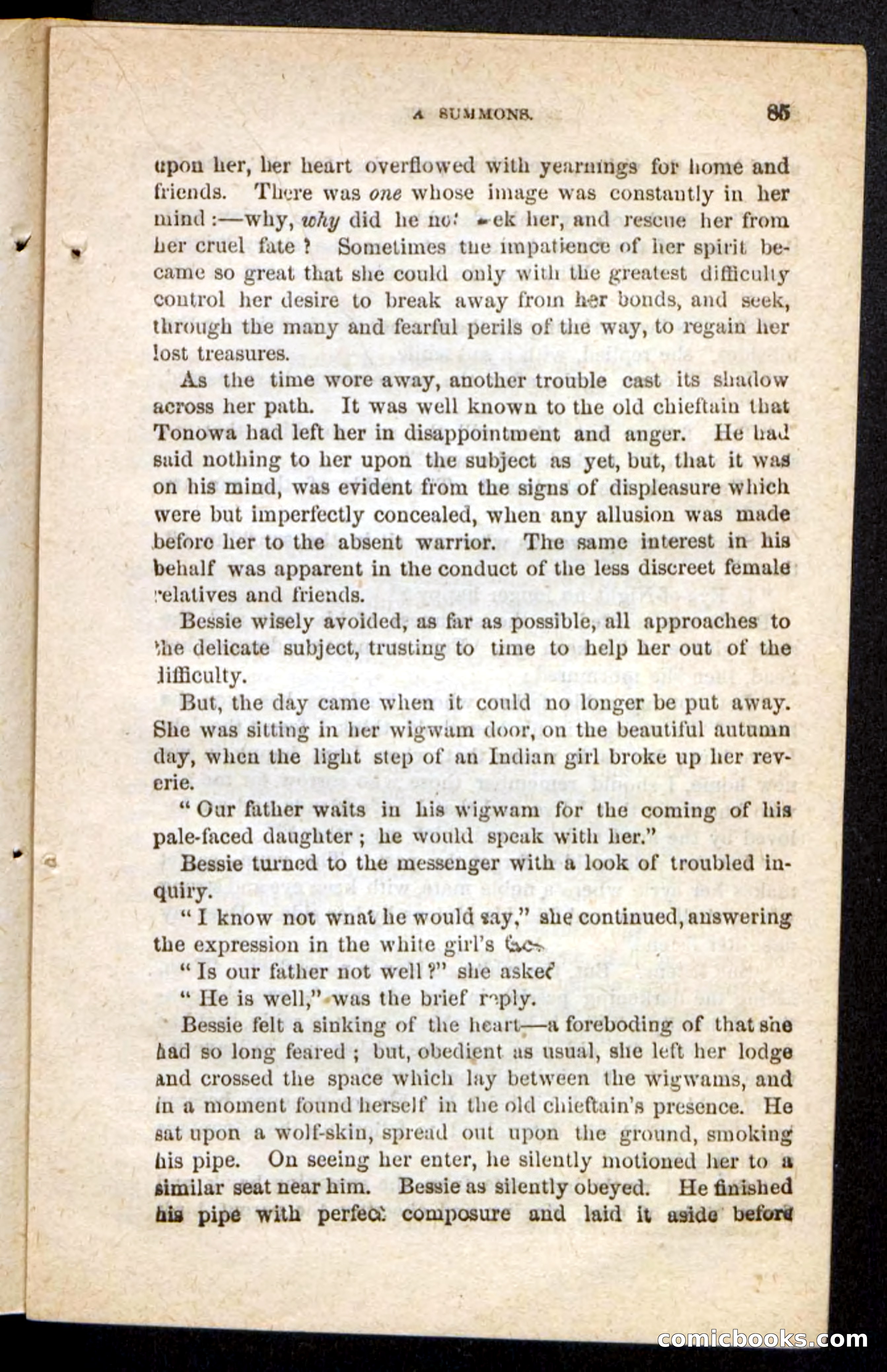Beadle's Pocket Novels No. 175: Border Bessie — page 75 of 92