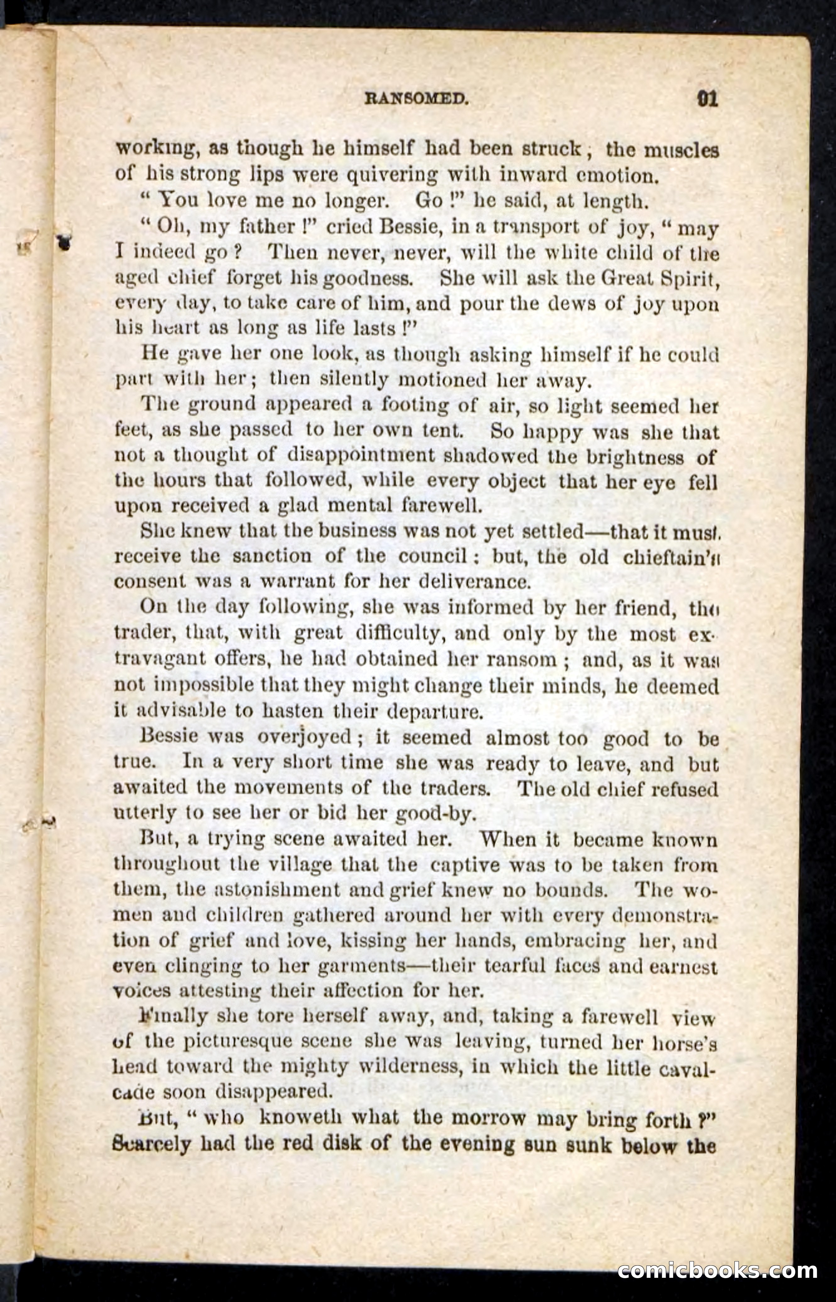 Beadle's Pocket Novels No. 175: Border Bessie — page 81 of 92