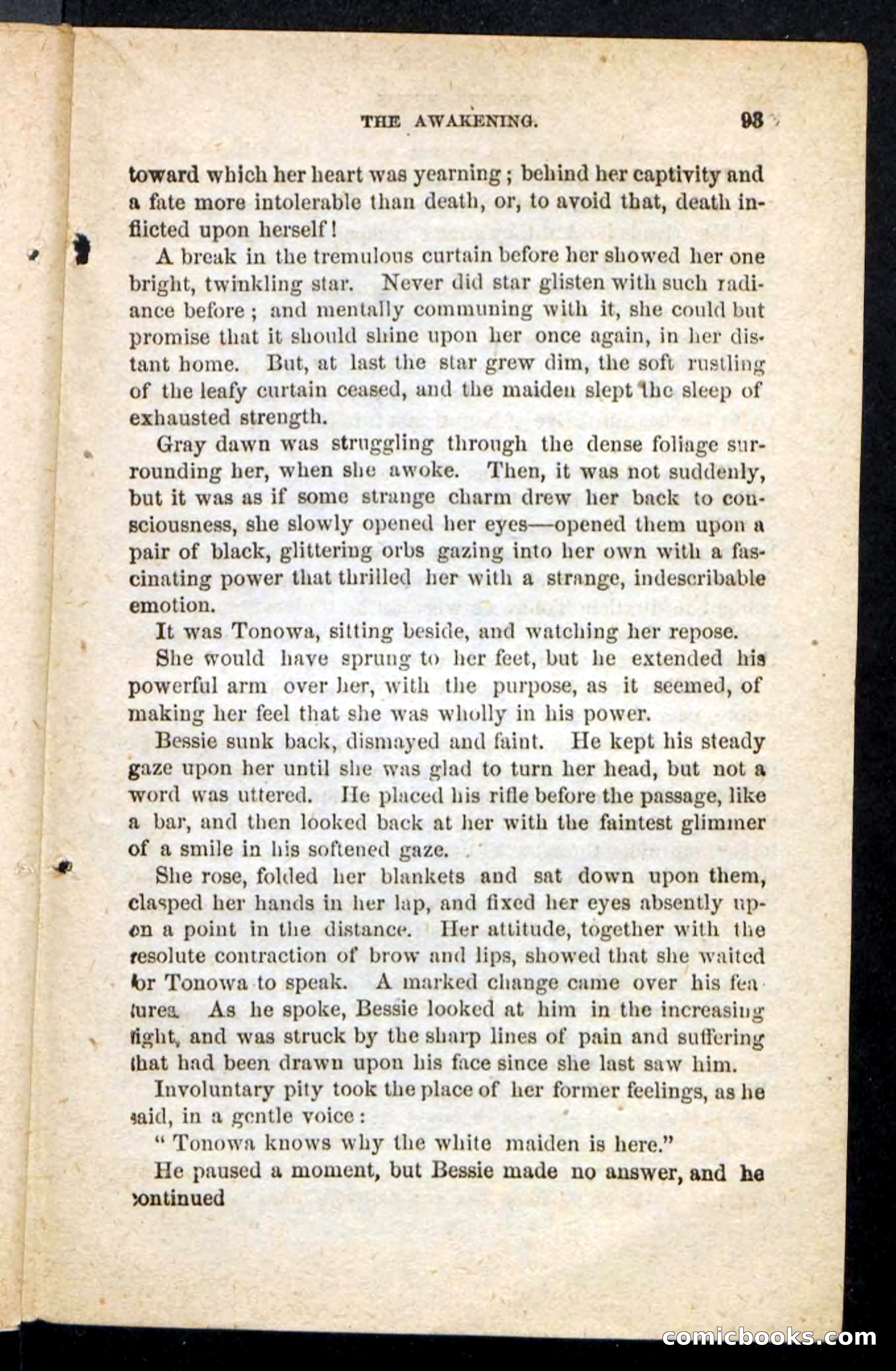 Beadle's Pocket Novels No. 175: Border Bessie — page 83 of 92