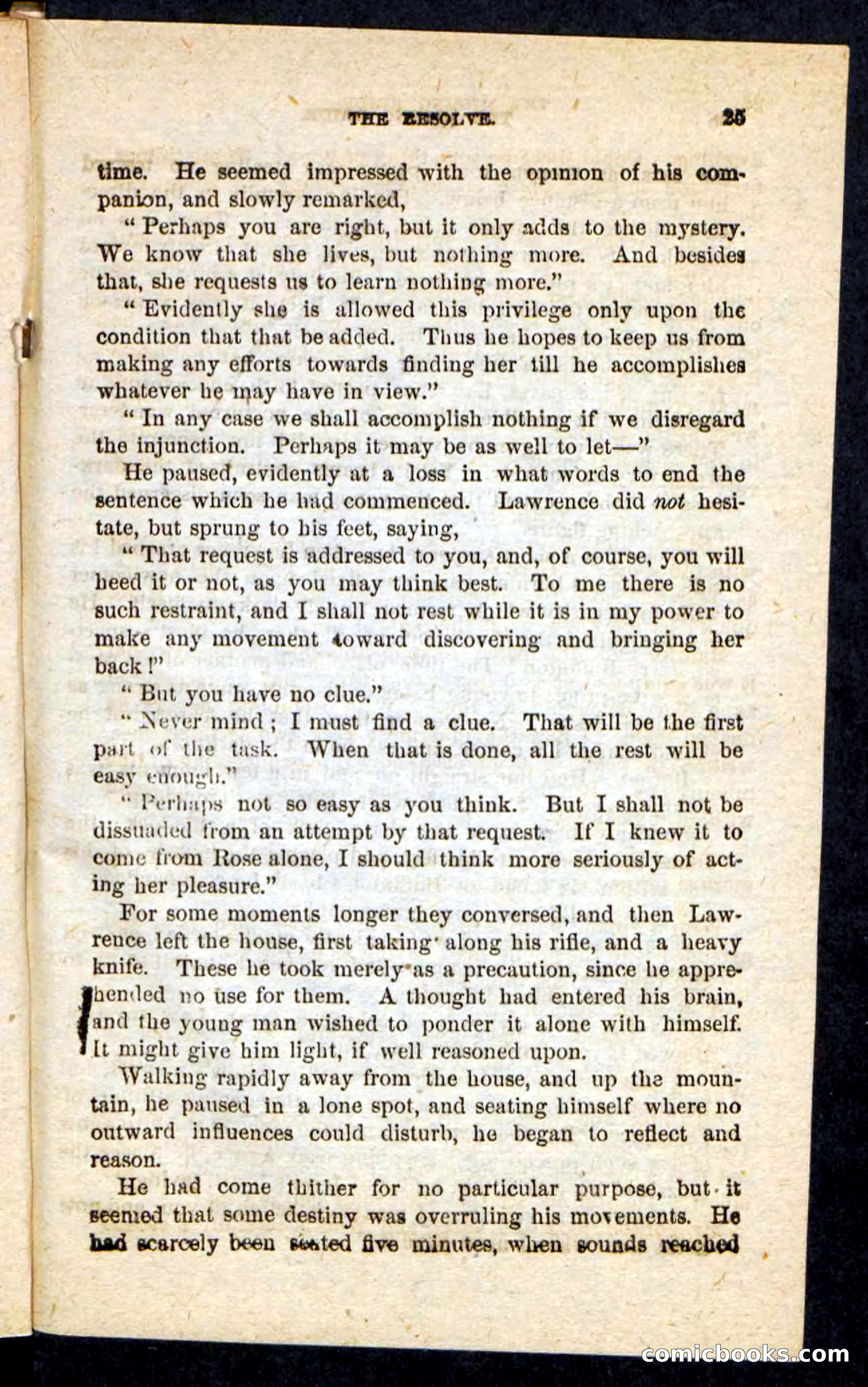 The Lost Bride — page 21 of 100