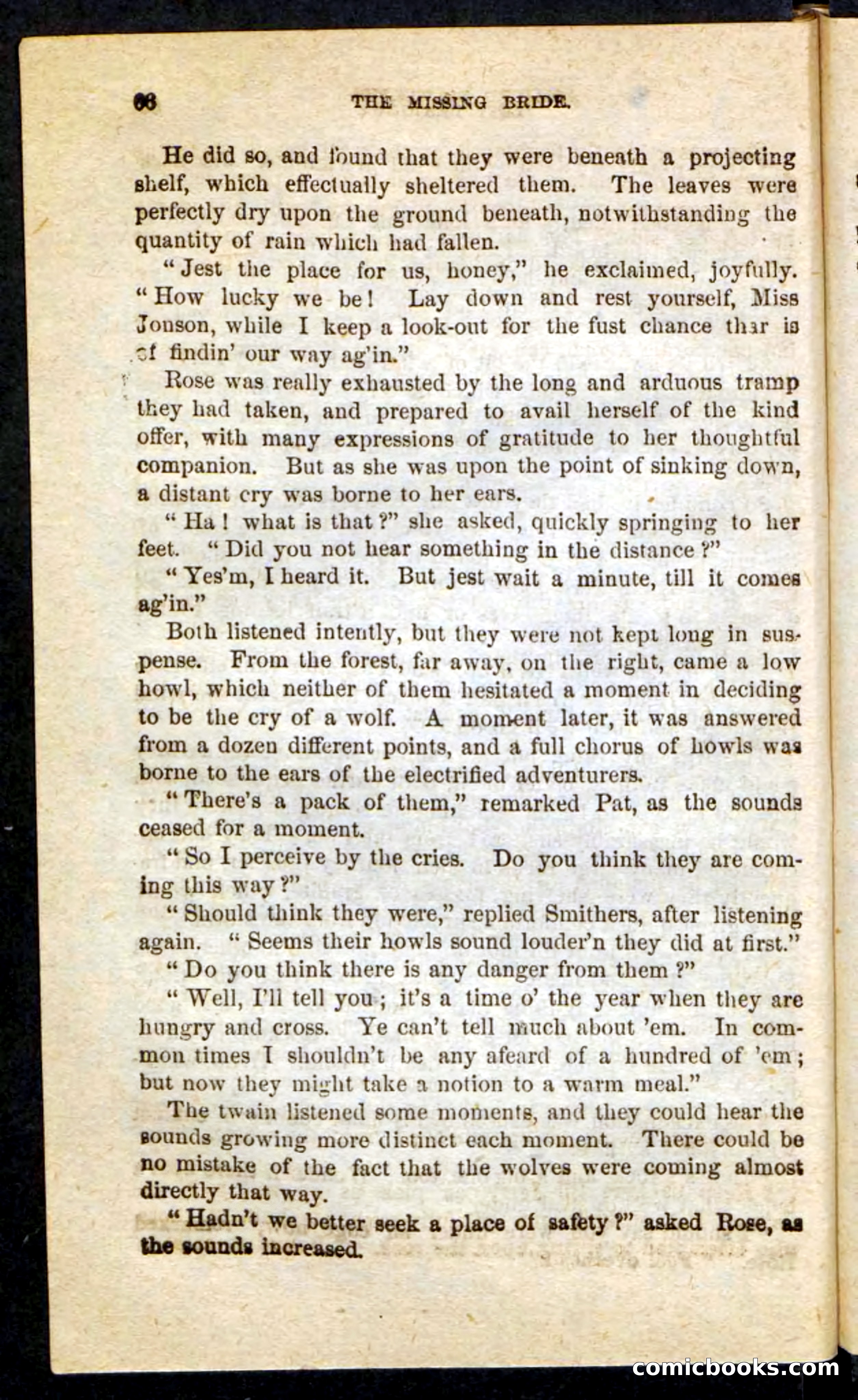 The Lost Bride — page 62 of 100