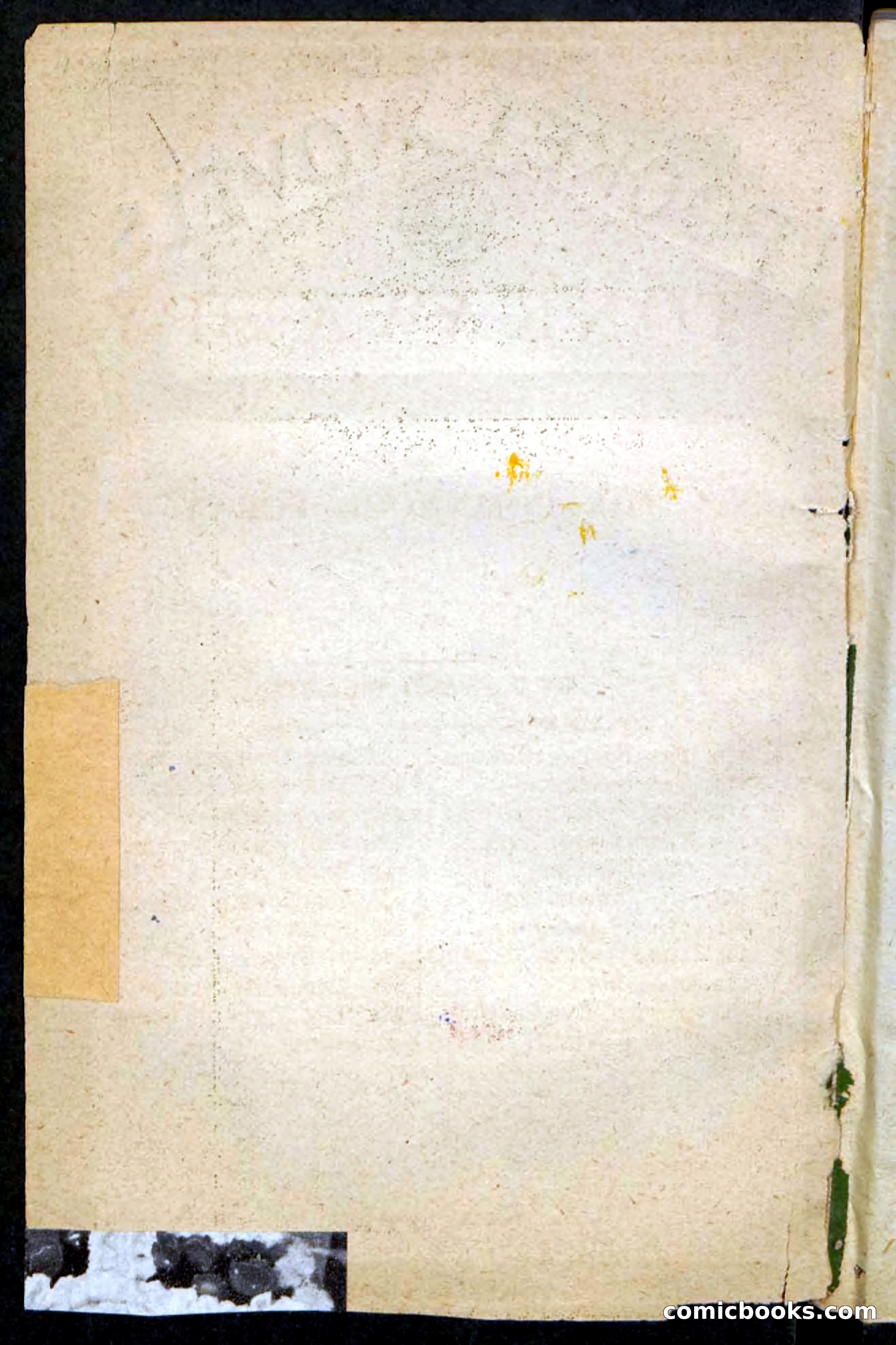 The Tonkawa Spy — page 2 of 100