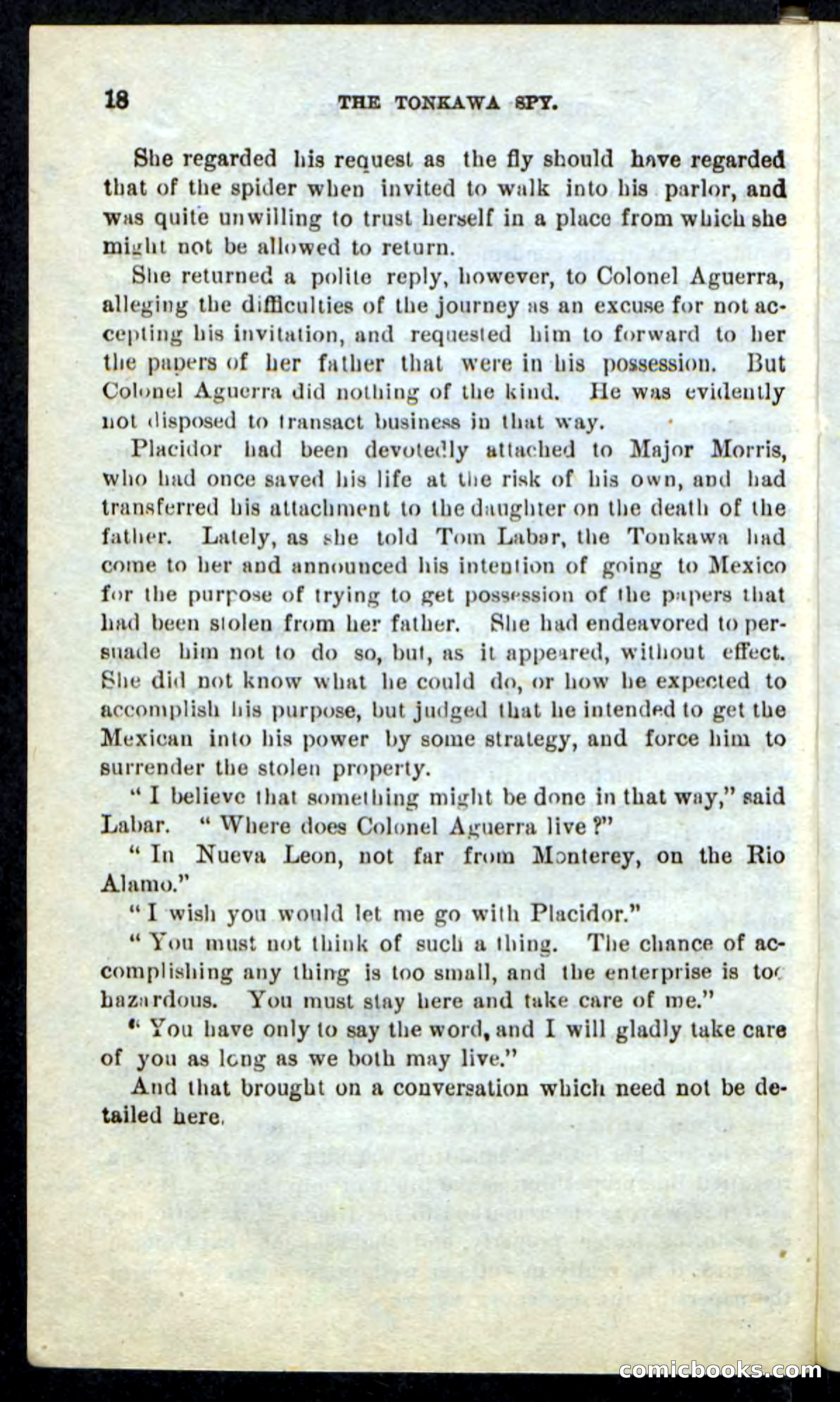 The Tonkawa Spy — page 14 of 100