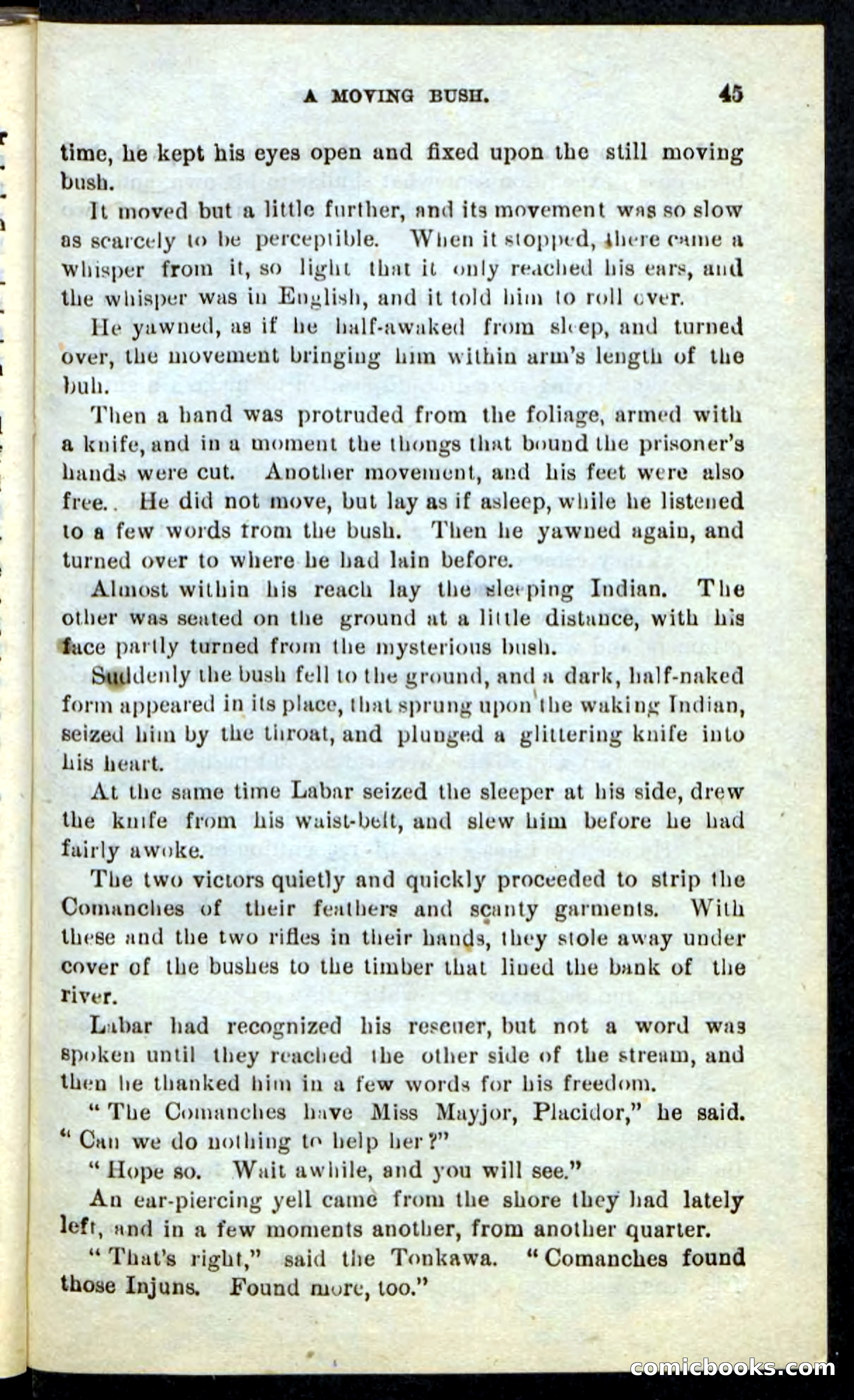The Tonkawa Spy — page 41 of 100