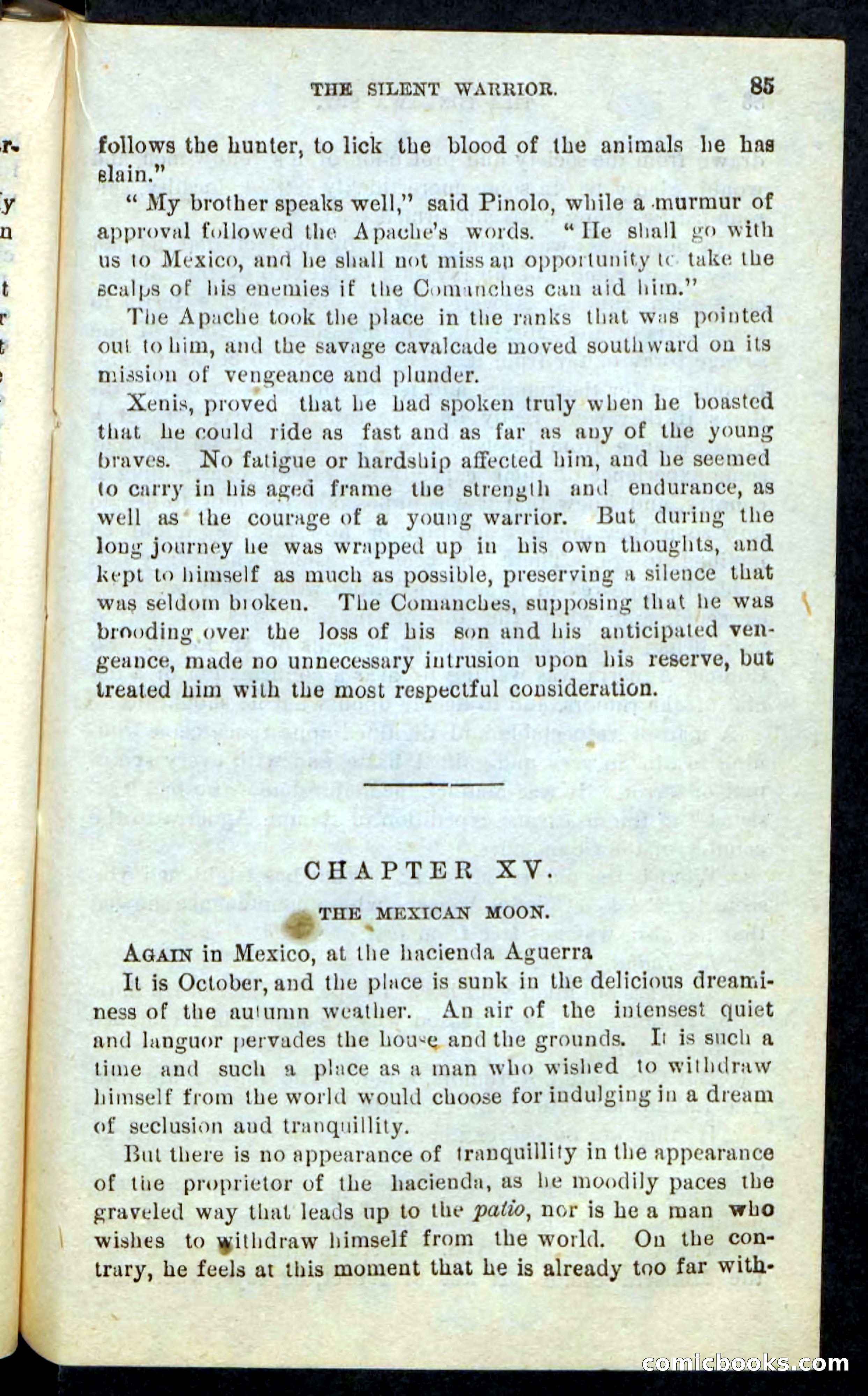 The Tonkawa Spy — page 81 of 100