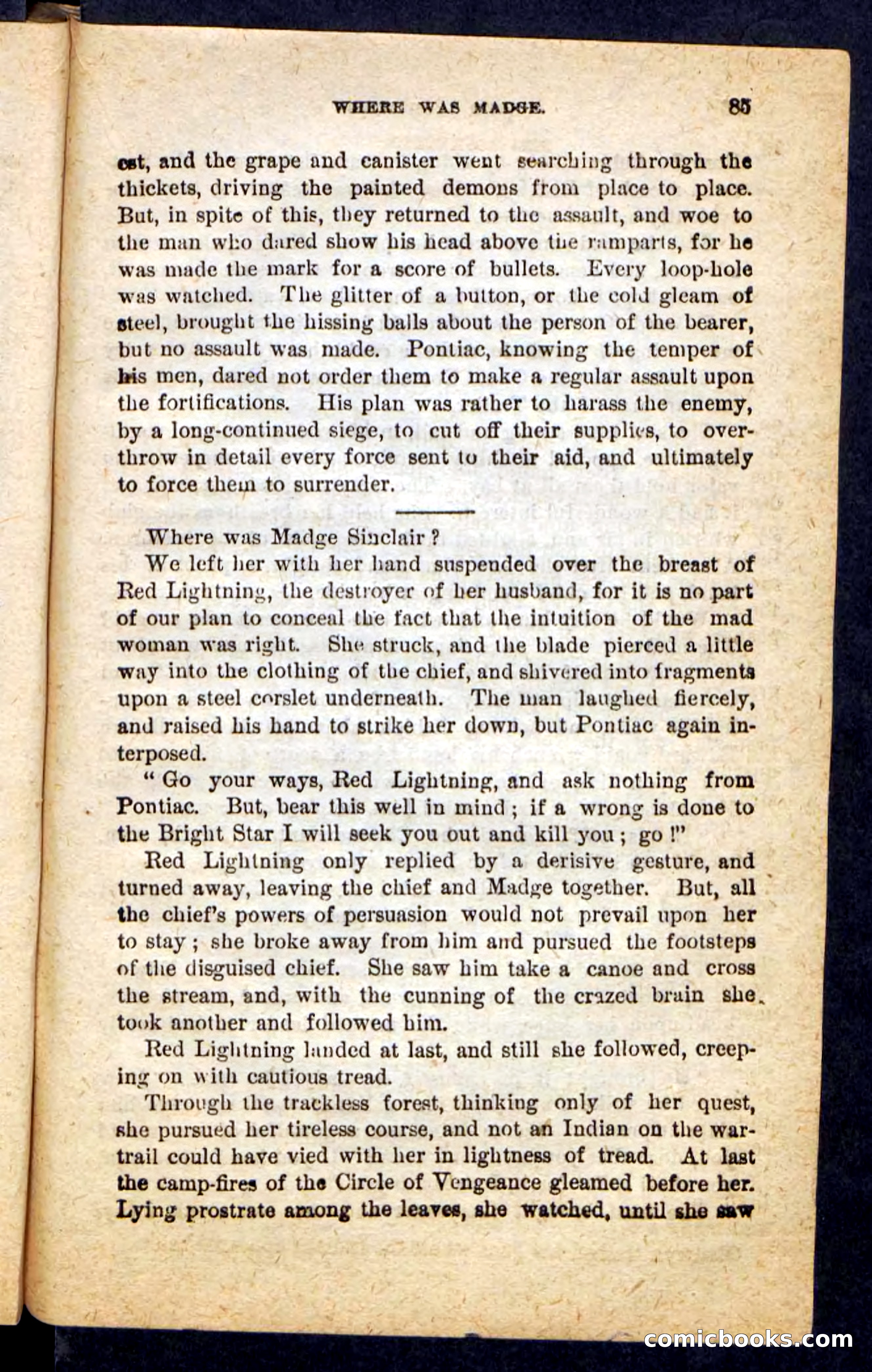 Red Lightning — page 81 of 100