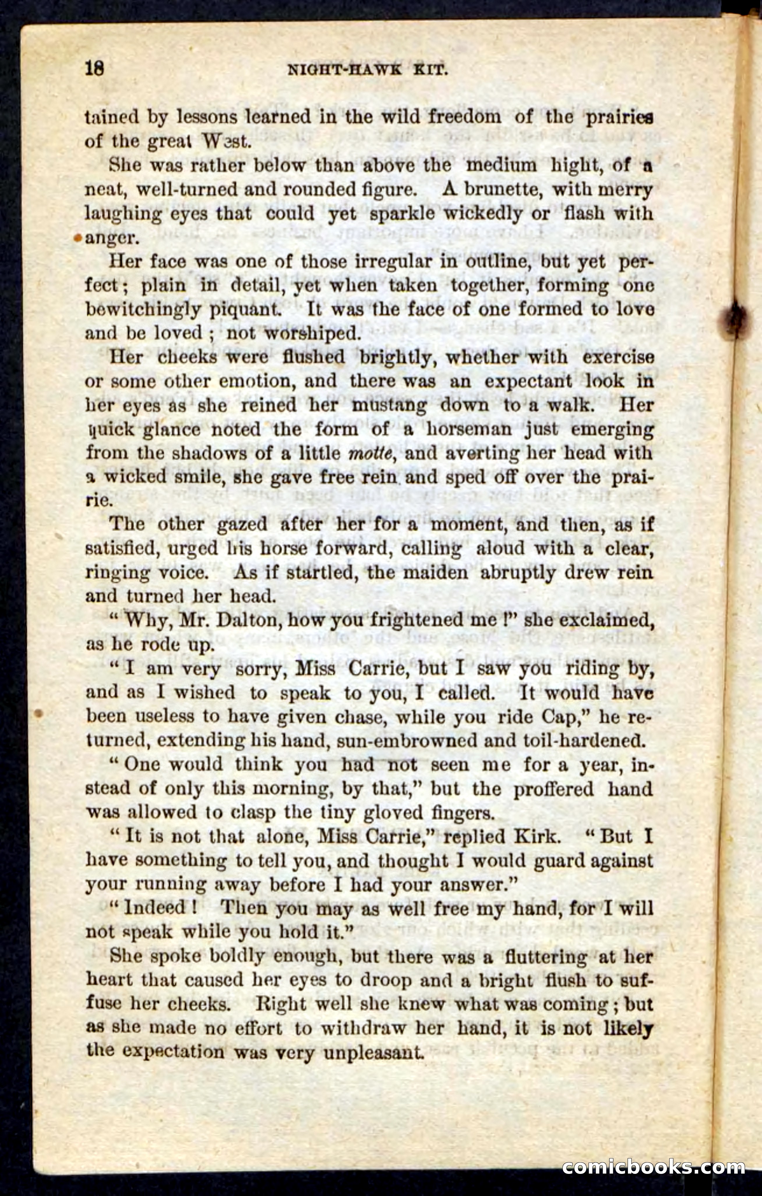 Night-Hawk Kit — page 14 of 100