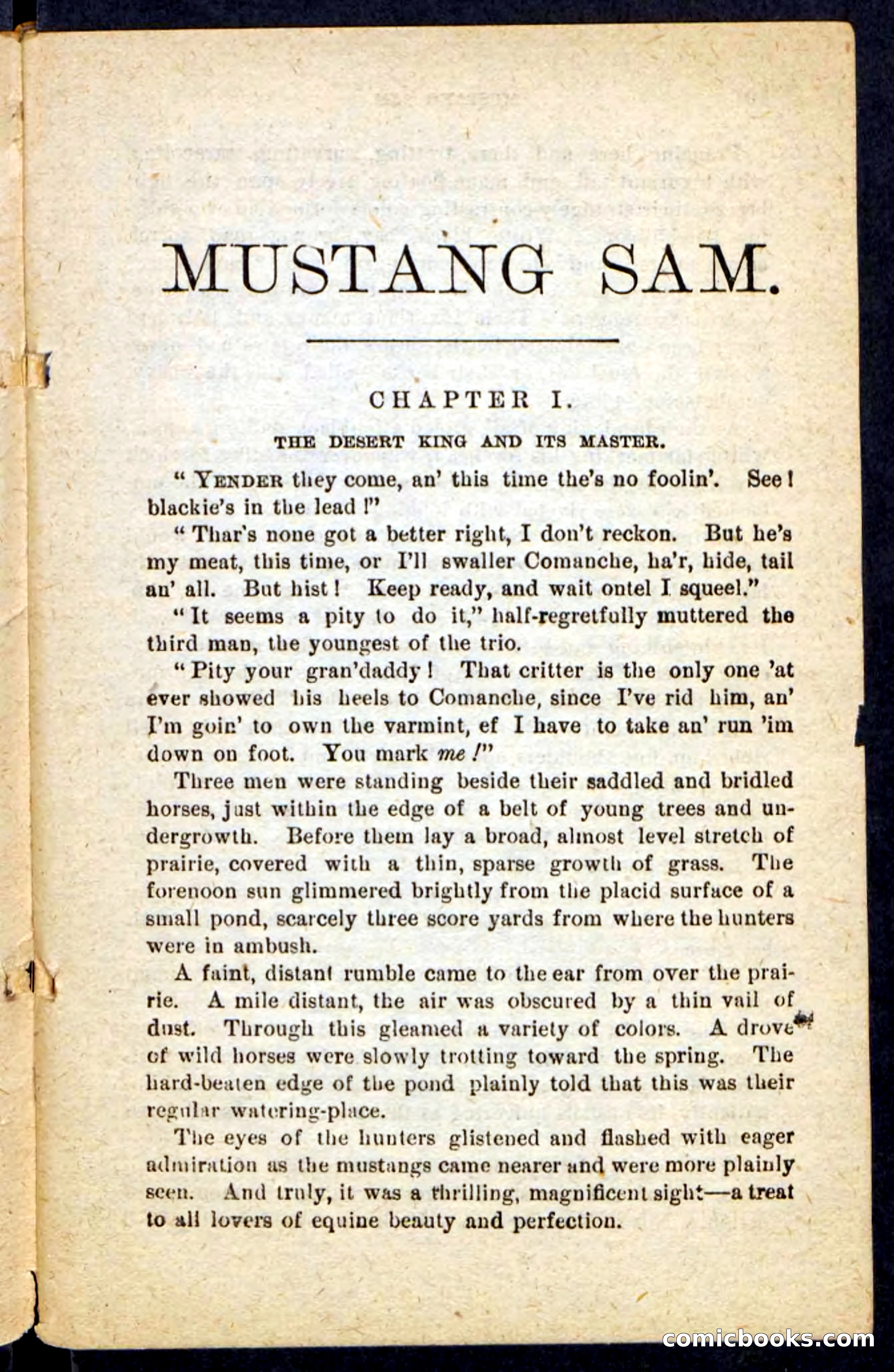 Beadle's Pocket Novels No. 184: Mustang Sam — page 5 of 100