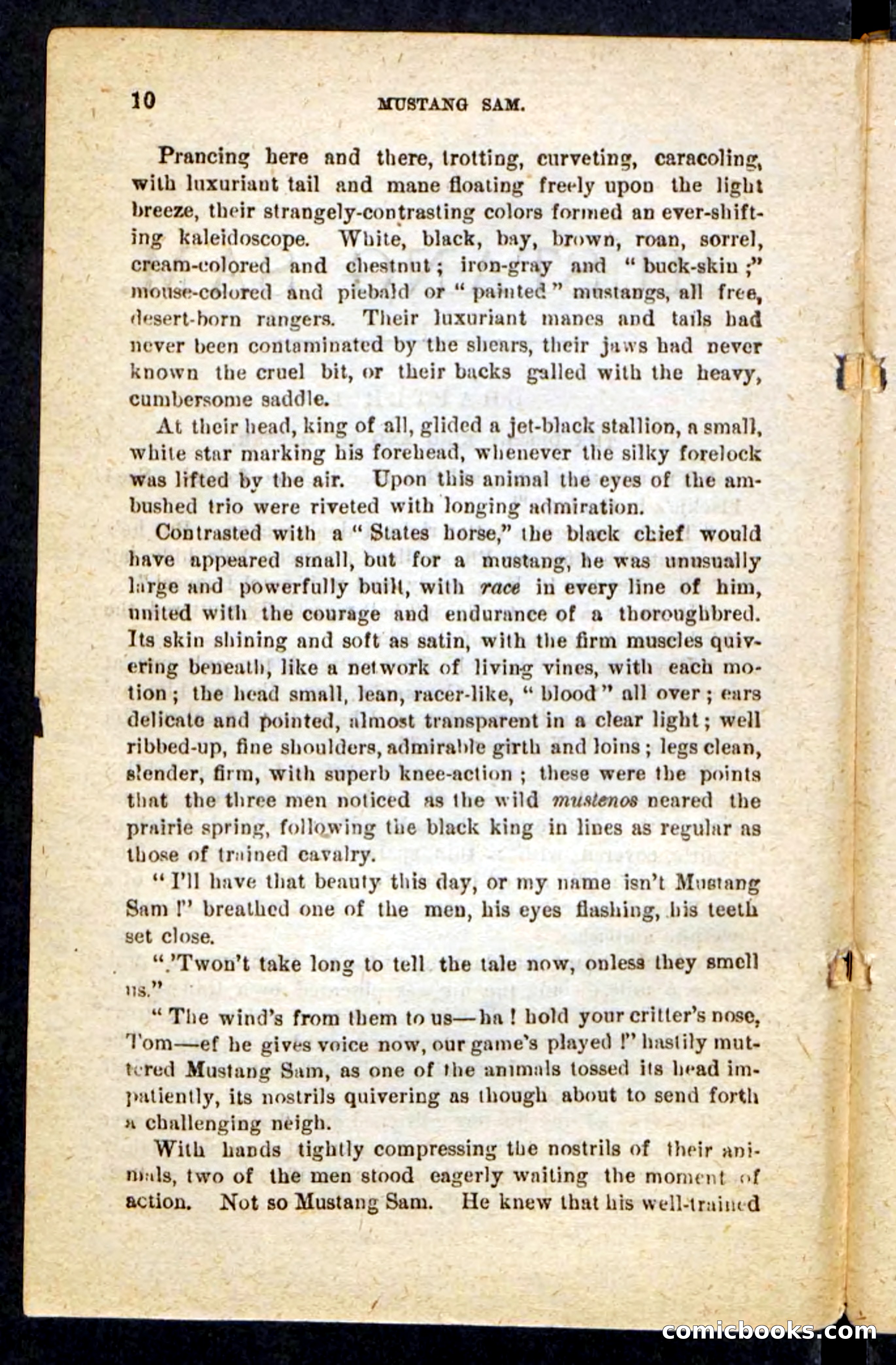 Beadle's Pocket Novels No. 184: Mustang Sam — page 6 of 100