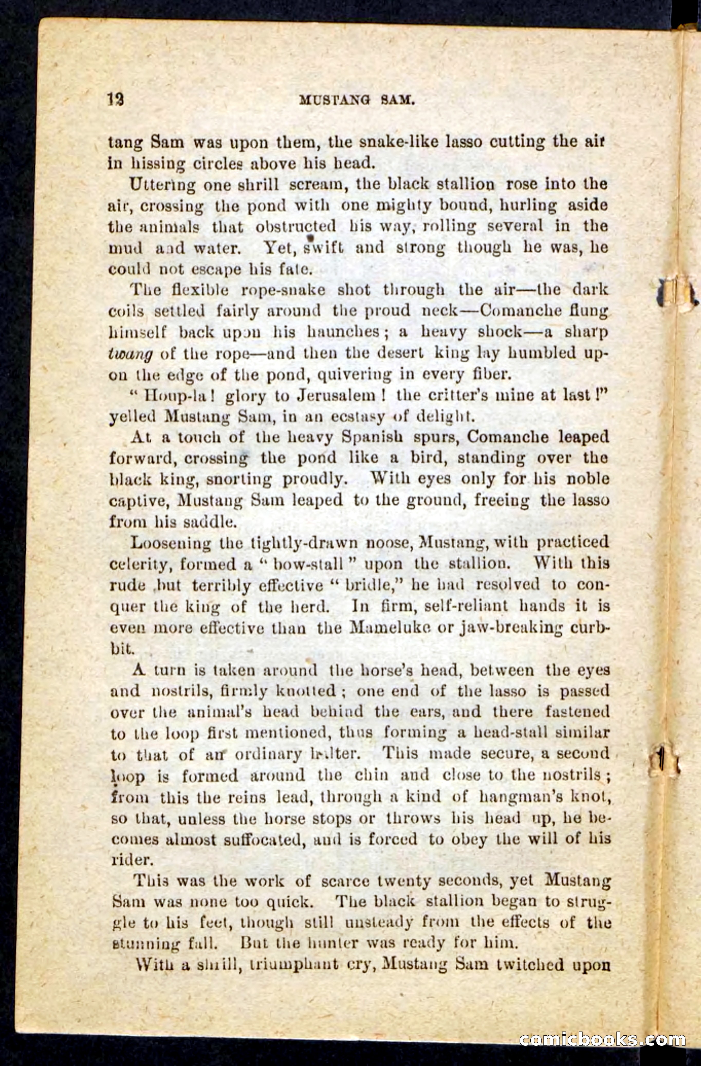 Beadle's Pocket Novels No. 184: Mustang Sam — page 8 of 100